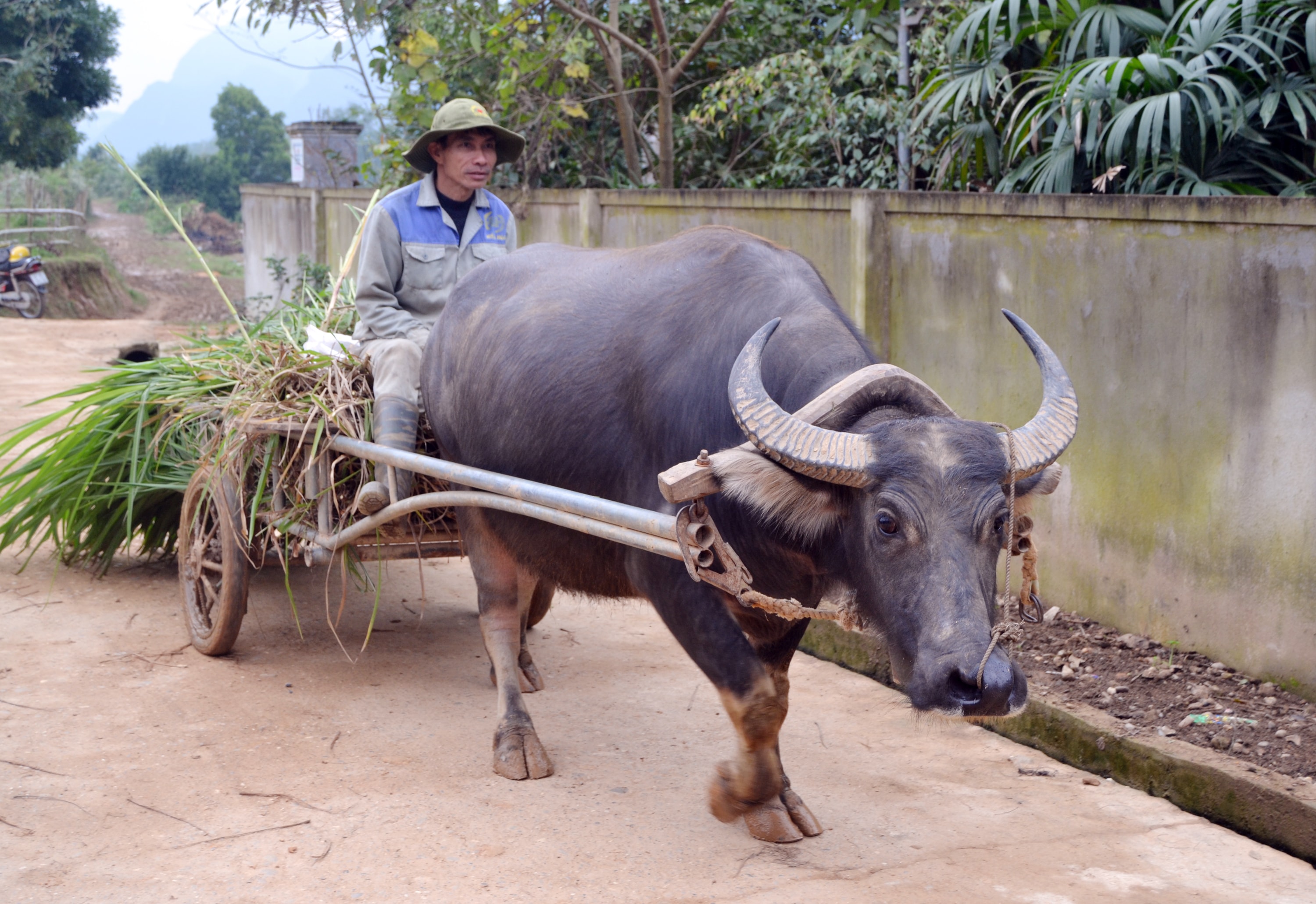 Để đảm bảo hài hòa về chất dinh dưỡng