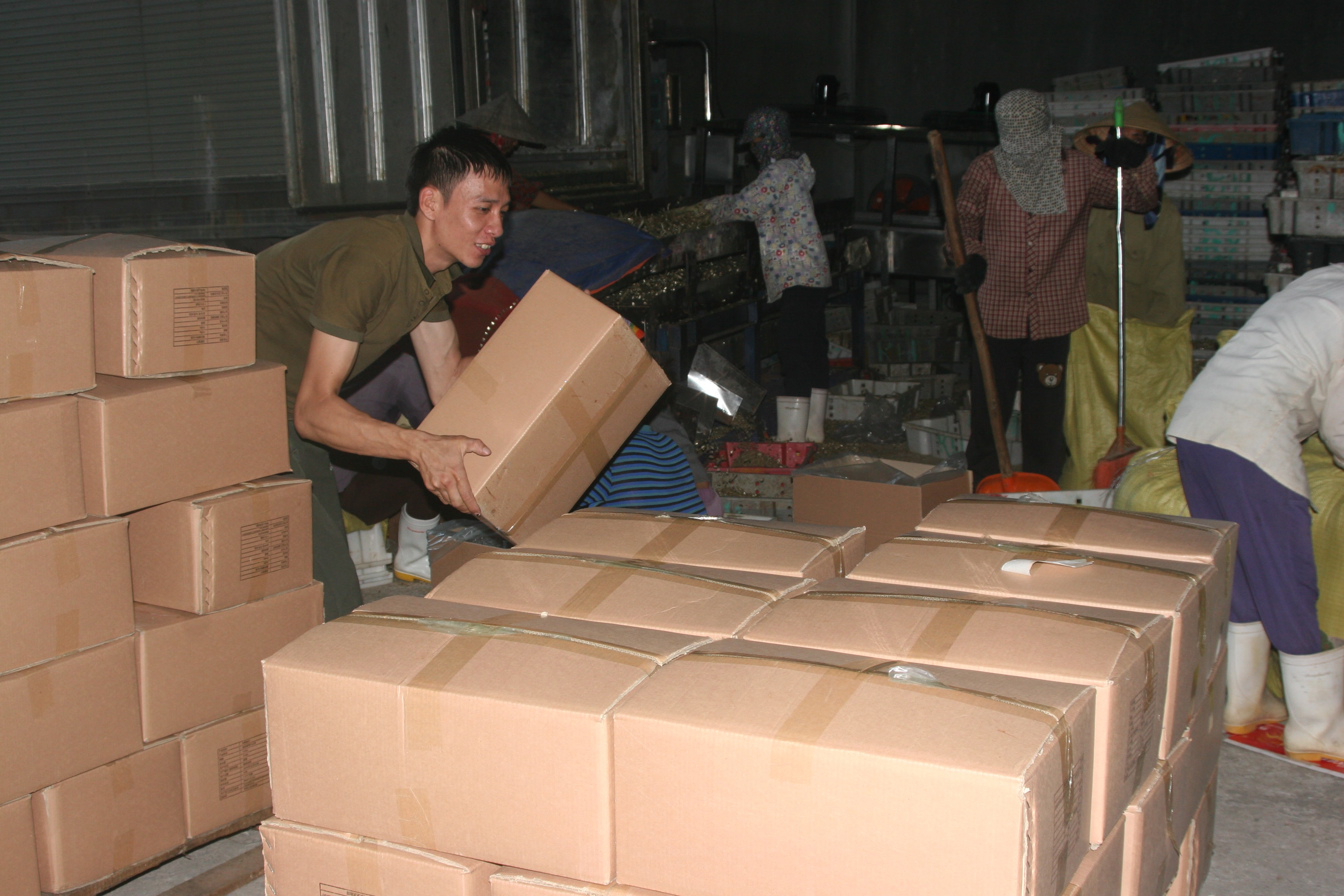 Sau khi chế biến, cá trỏng được phơi ngoài trời đến khi khô; giá bán từ 120 - 130.000 đồng/kg. Hiện nay, trên địa bàn xã Tiến Thủy có khoảng 20 hộ chế biến cá trỏng khô đặc sản. Những ngày giáp Tết, mỗi ngày bà con tung ra thị trường khoảng từ 2 - 3 tấn cá trỏng khô. Ảnh: Việt Hùng