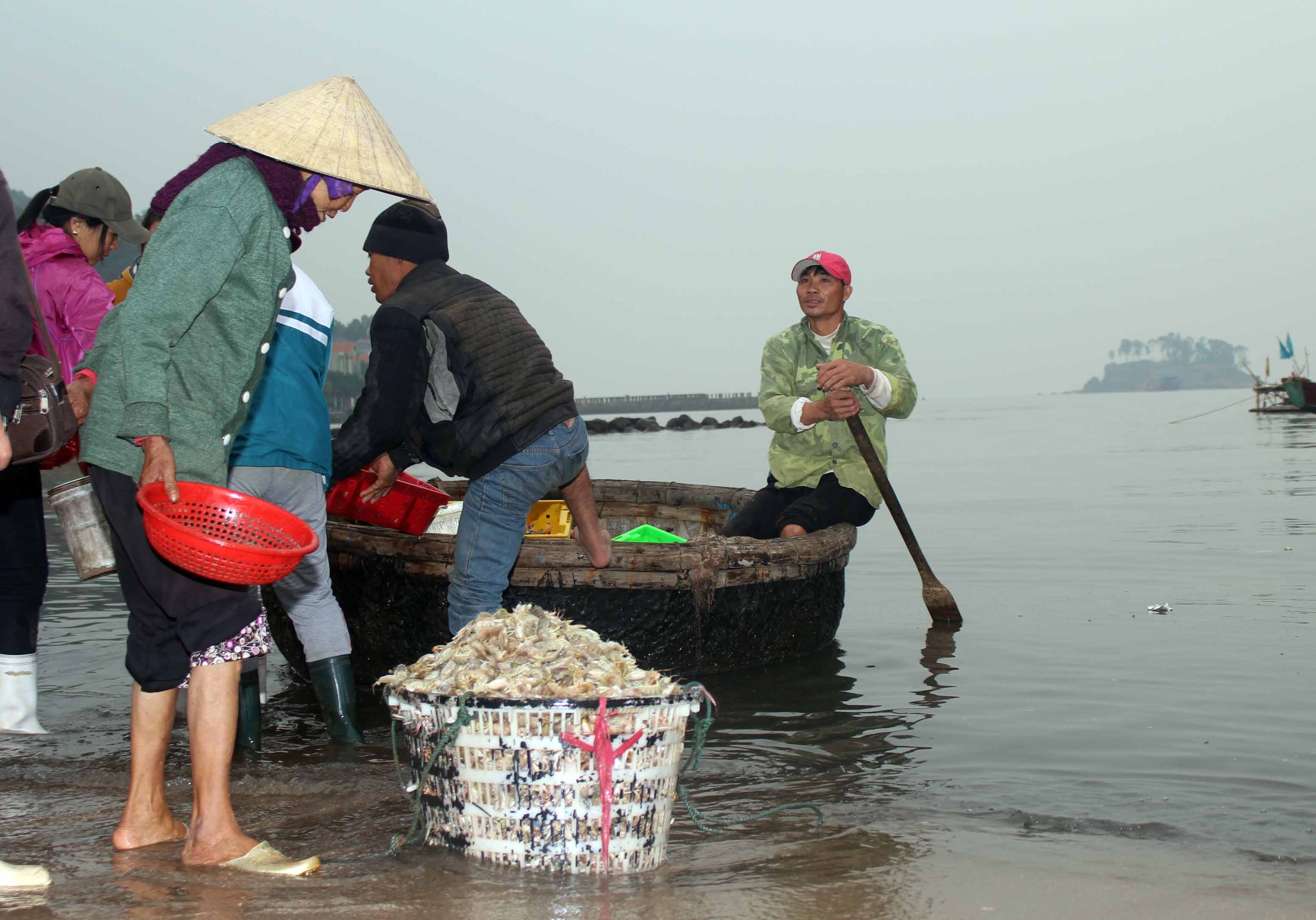 Theo các ngư dân, nghề đánh bắt gần bờ tuy sản lượng không nhiều nhưng “năng nhặt thì chặt bị”, nếu chịu khó vươn khơi, mỗi tháng ngư dân cũng có thu nhập trên dưới 10 triệu đồng/người. 