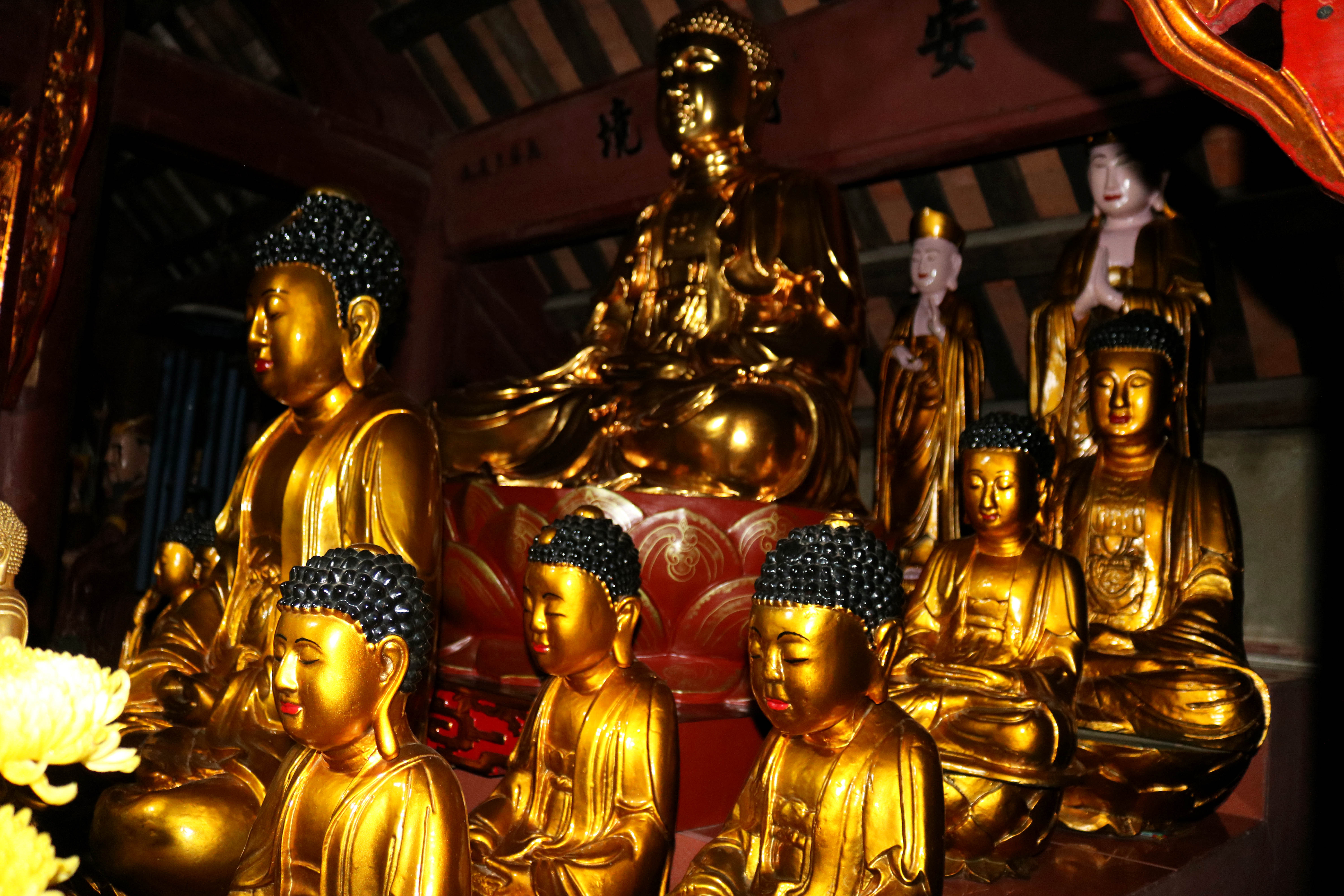 Bên trong chính điện, thờ 43 pho tượng cổ bằng gỗ, đa dạng về loại hình, đặc sắc về cấu tạo, nghệ thuật tạc tượng. Gian giữa thờ 15 pho tượng, trong đó có 3 tượng Bồ tát và 12 tượng Phật Thích Ca tương đối giống nhau về hình dáng.  