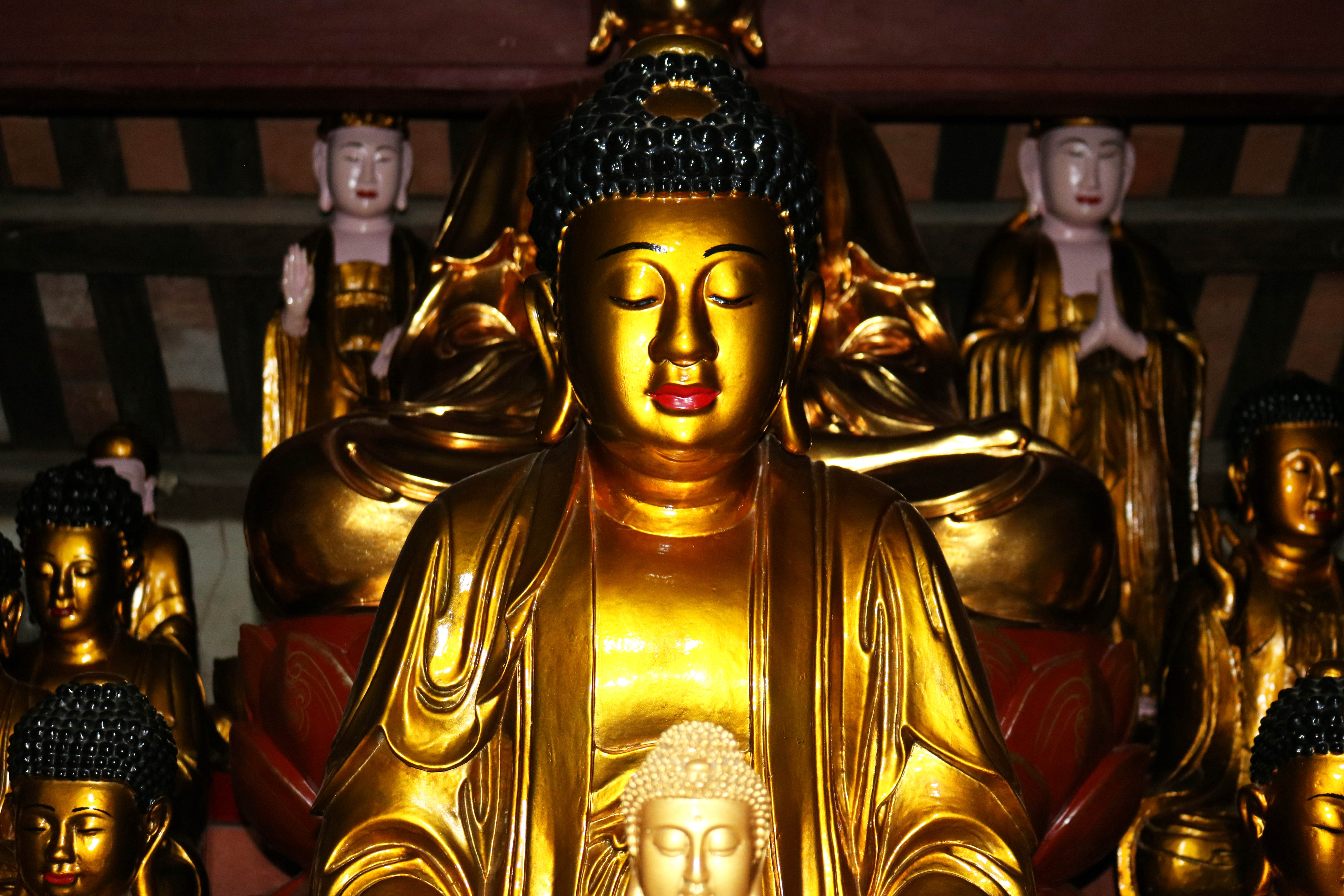 Hai pho tượng đức Phật Thích Ca lớn nhất cao khoảng 1,3m được bài trí chính giữa với khuôn mặt đầy đặn, mắt nhắm, ngồi thiền định trên tòa sen. Ảnh: Huy Thư