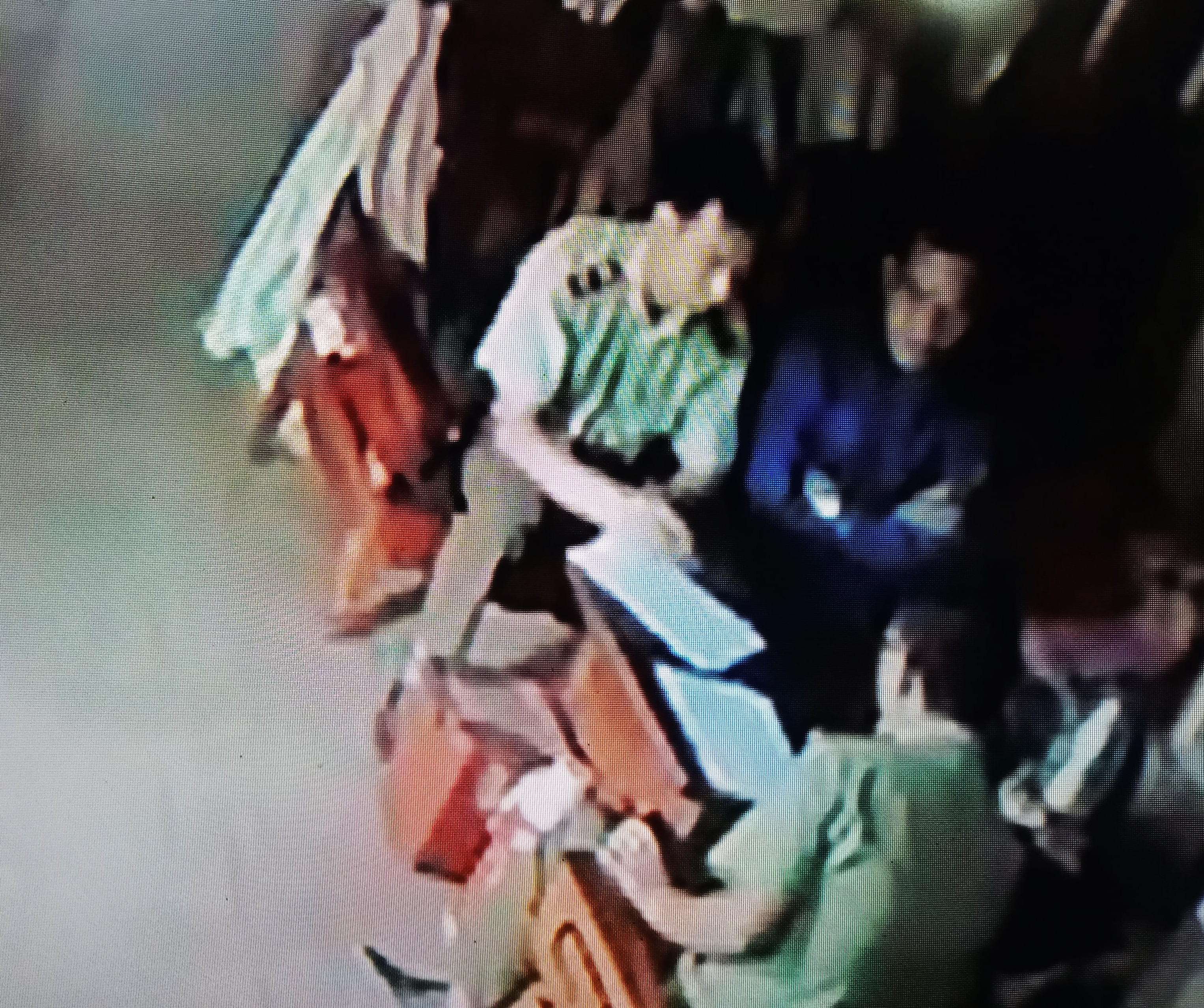 Hình ảnh camera ghi lại cho thấy nhóm người mang sắc phục quản lý thị trường đến nhà ông Vi Văn Hùng là để làm việc. Ảnh cắt từ Clip.
