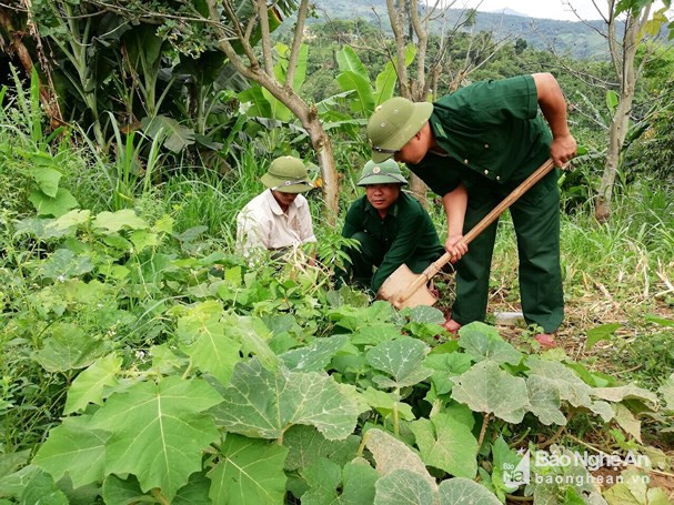 Chiến sỹ Đồn Biên phòng Nậm Càn hướng dẫn người dân chăm sóc cây, con giống. Ảnh: Tư liệu