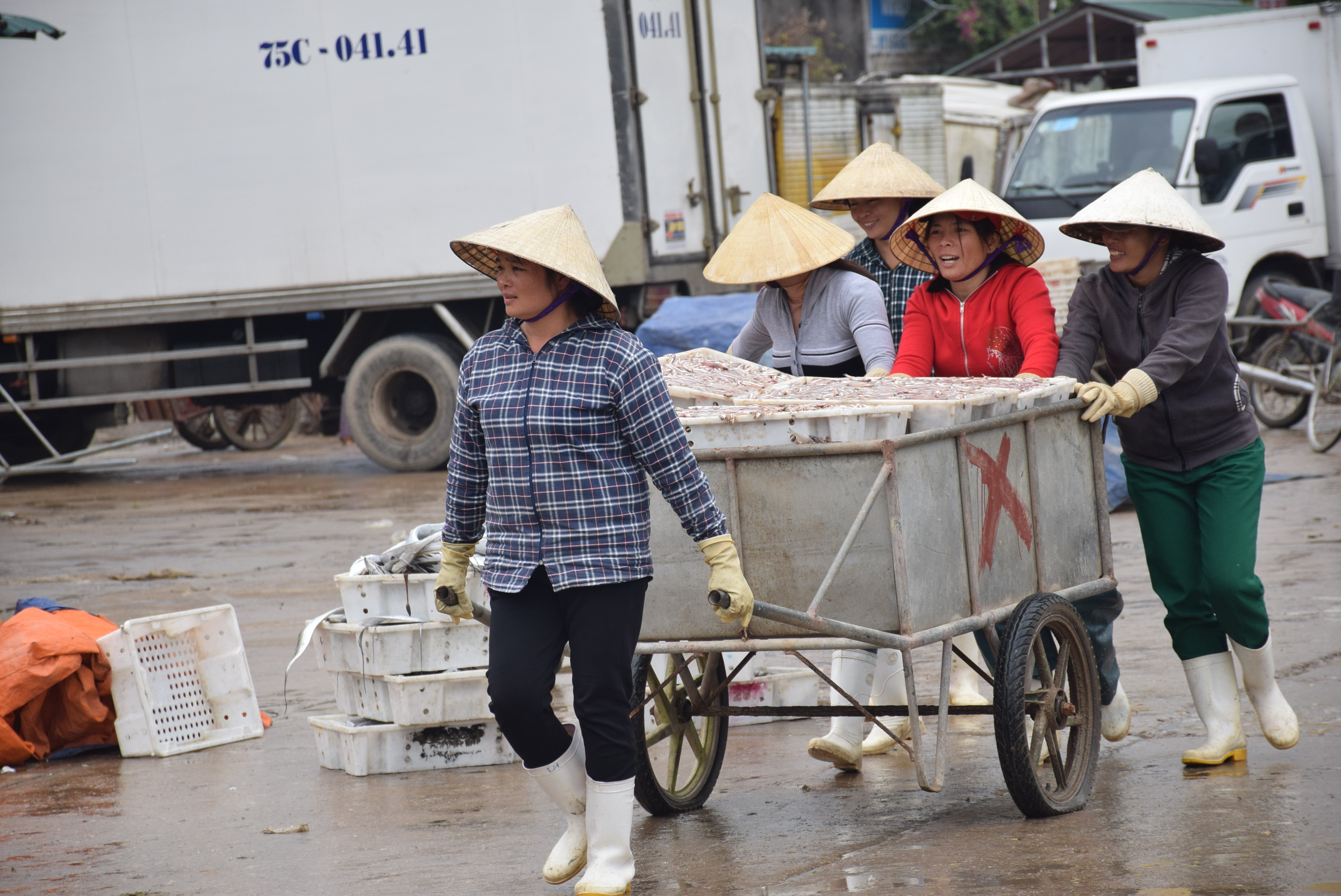 Thu mua hải sản tại các cảng cá. Ảnh: Xuân Hoàng