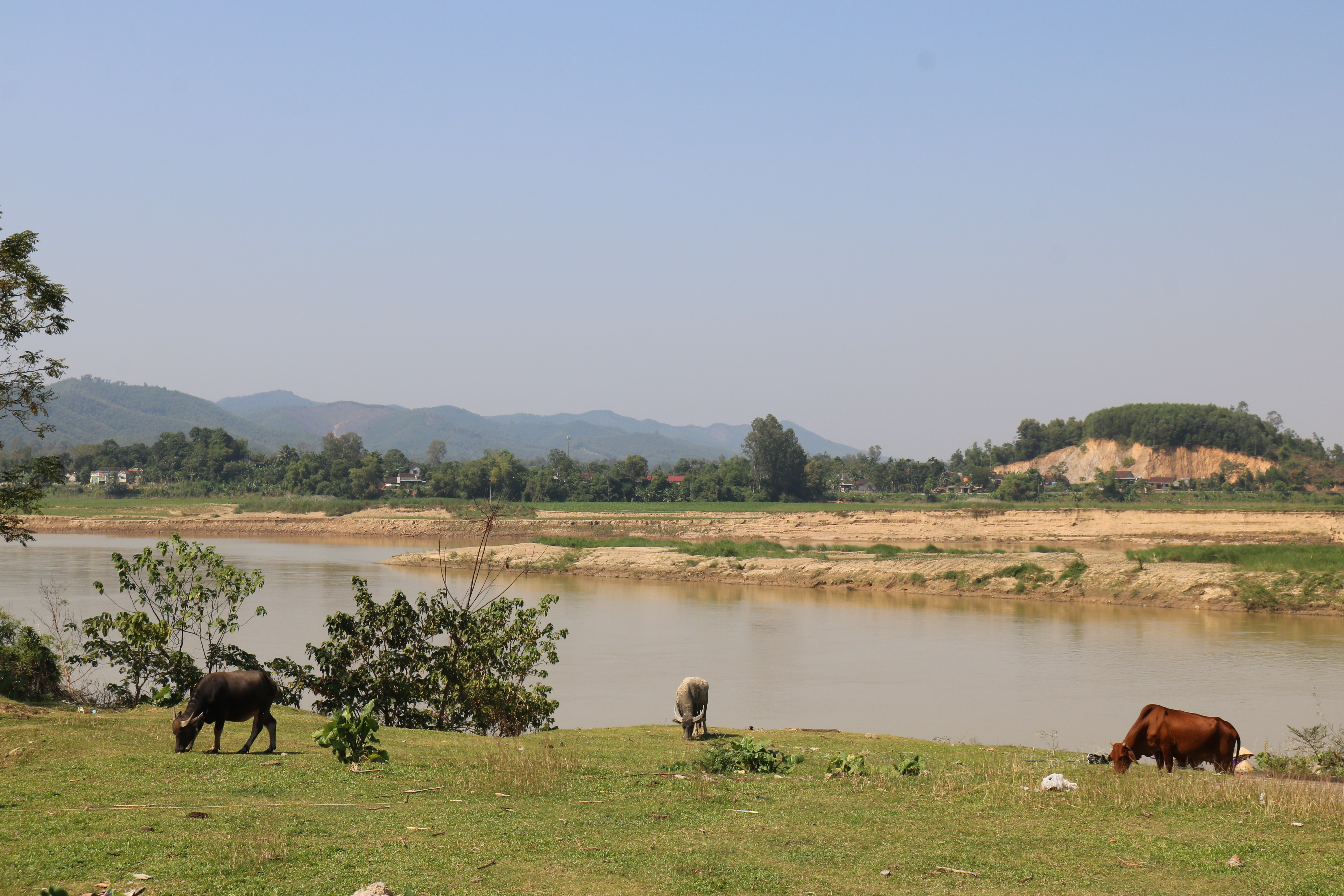 Sông Lam đoạn chảy qua xã Thanh Văn. Ảnh: Huy Thư