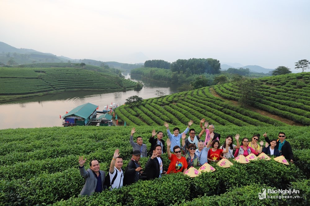 Đảo chè Thanh Chương thu hút du khách trong và ngoài địa phương, khách du lịch quốc tế. Ảnh: tư liệu