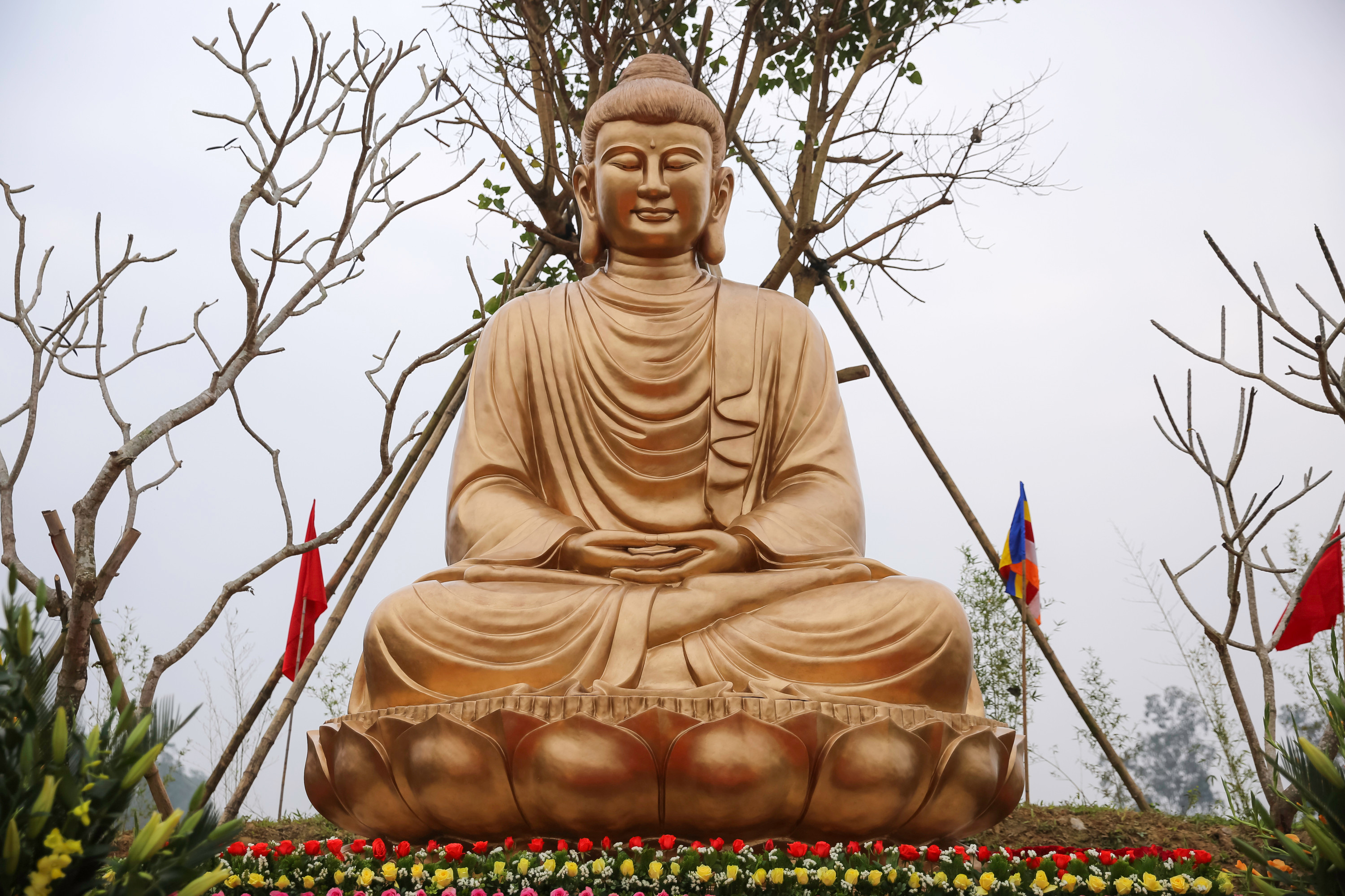 Tượng Thích ca Mâu Ni Phật được đúc trong vòng hai tháng với chiều cao  5m nặng 10 tấn, tượng được cung nghinh về khuôn viên Chùa Đức Hậu vào ngày 12/12 và được tôn vị ở vị thế cao nhất. 