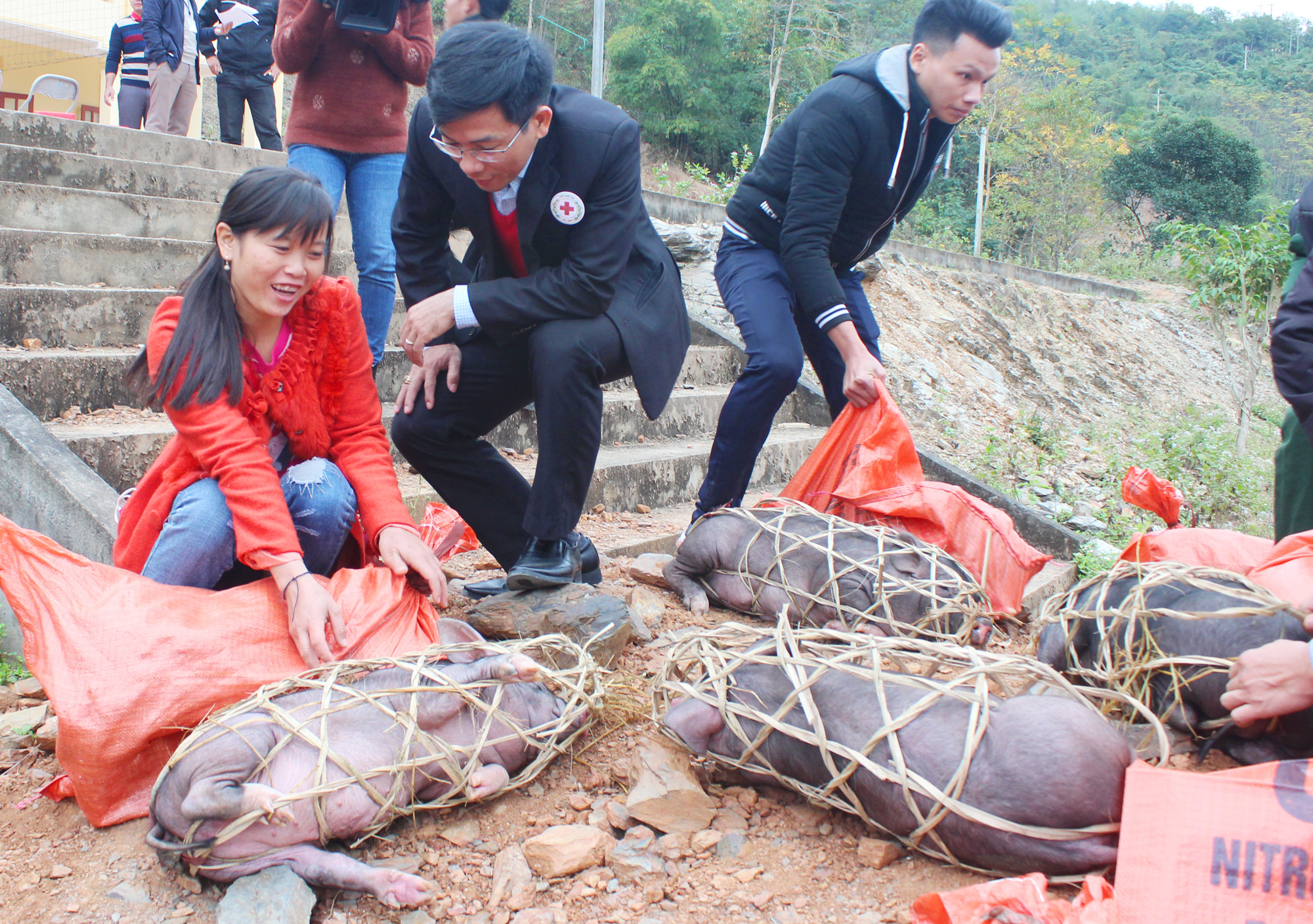 Bàn giao trực tiếp lợn giống cho bà con xã Lượng Minh, huyện Tương Dương. Ảnh Nguyễn Hải