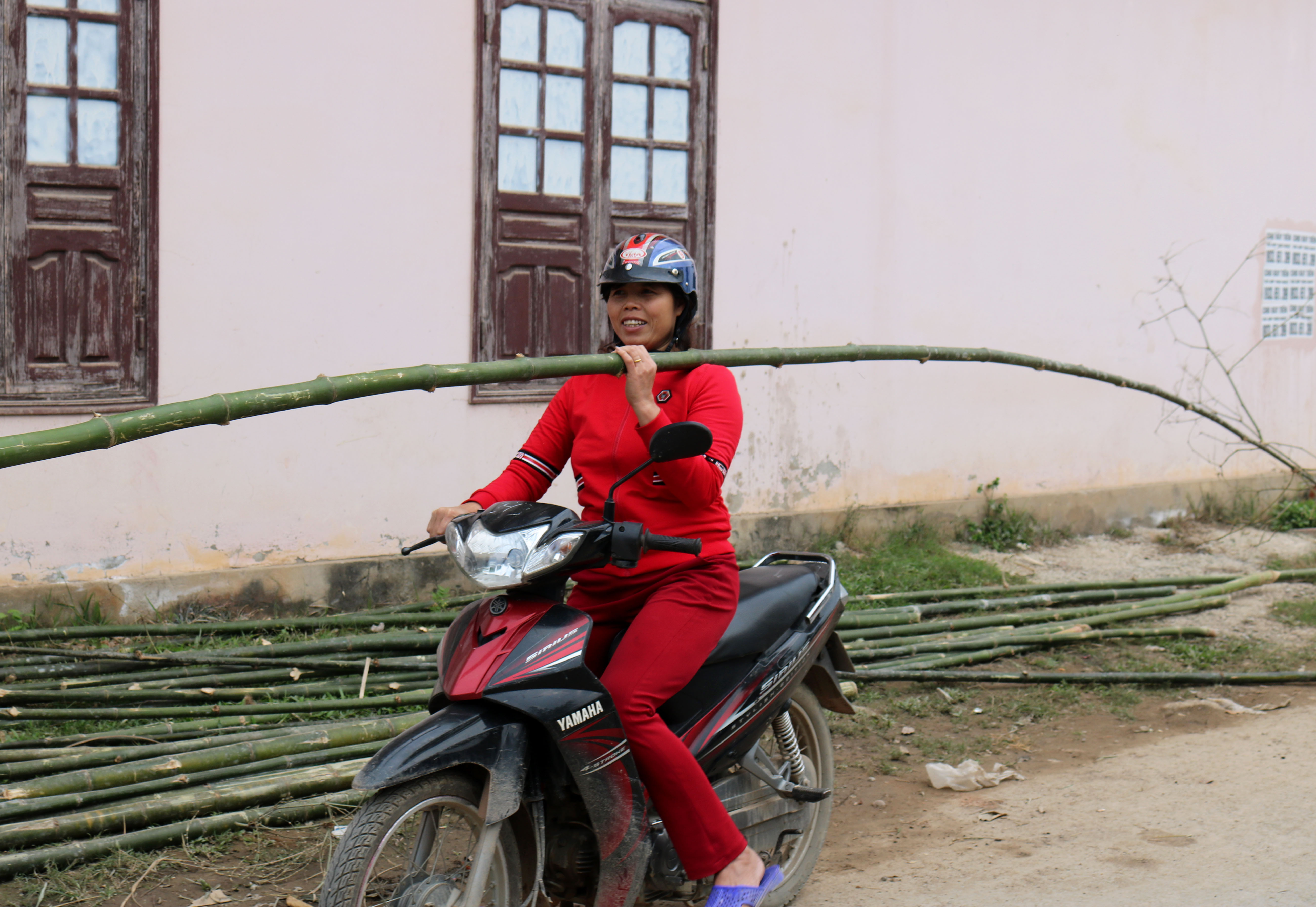 Một người phụ nữ ở xã Văn Sơn, huyện Đô Lương đi mua tre làm nêu 