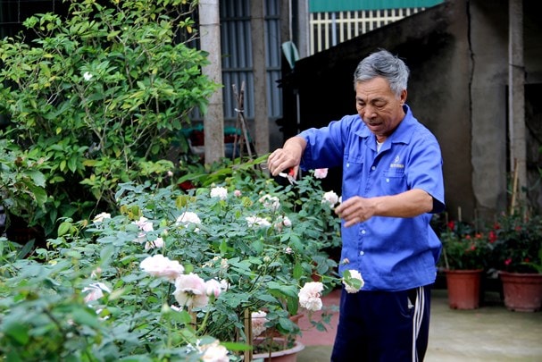 Nghề cắt tỉa, chăm sóc hoa, cây cảnh tại nhà cũng vào mùa làm ăn. Ảnh: Quang An