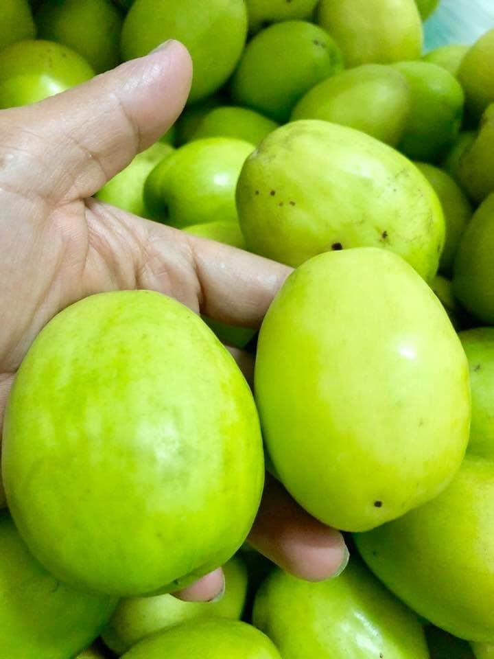 Táo Nam Đàn cũng được khách hàng ưa dùng trong dịp Tết này. Ảnh: Thúy Tình