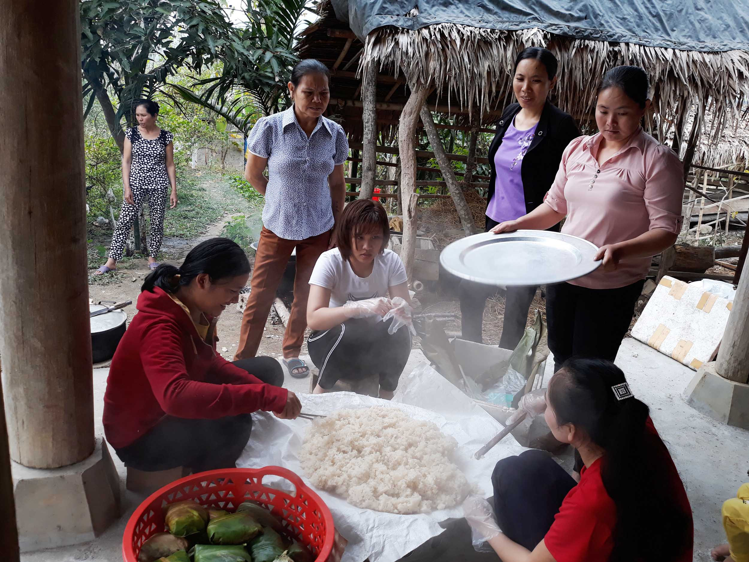 Tết họ từ nhiều năm nay đang hình thành một tập tục của cộng đồng người Thái miền núi xứ Nghệ. Đây đơn giản chỉ là một dịp vui chứ không hề có một lễ cúng nào. Anh : Hữu Vi