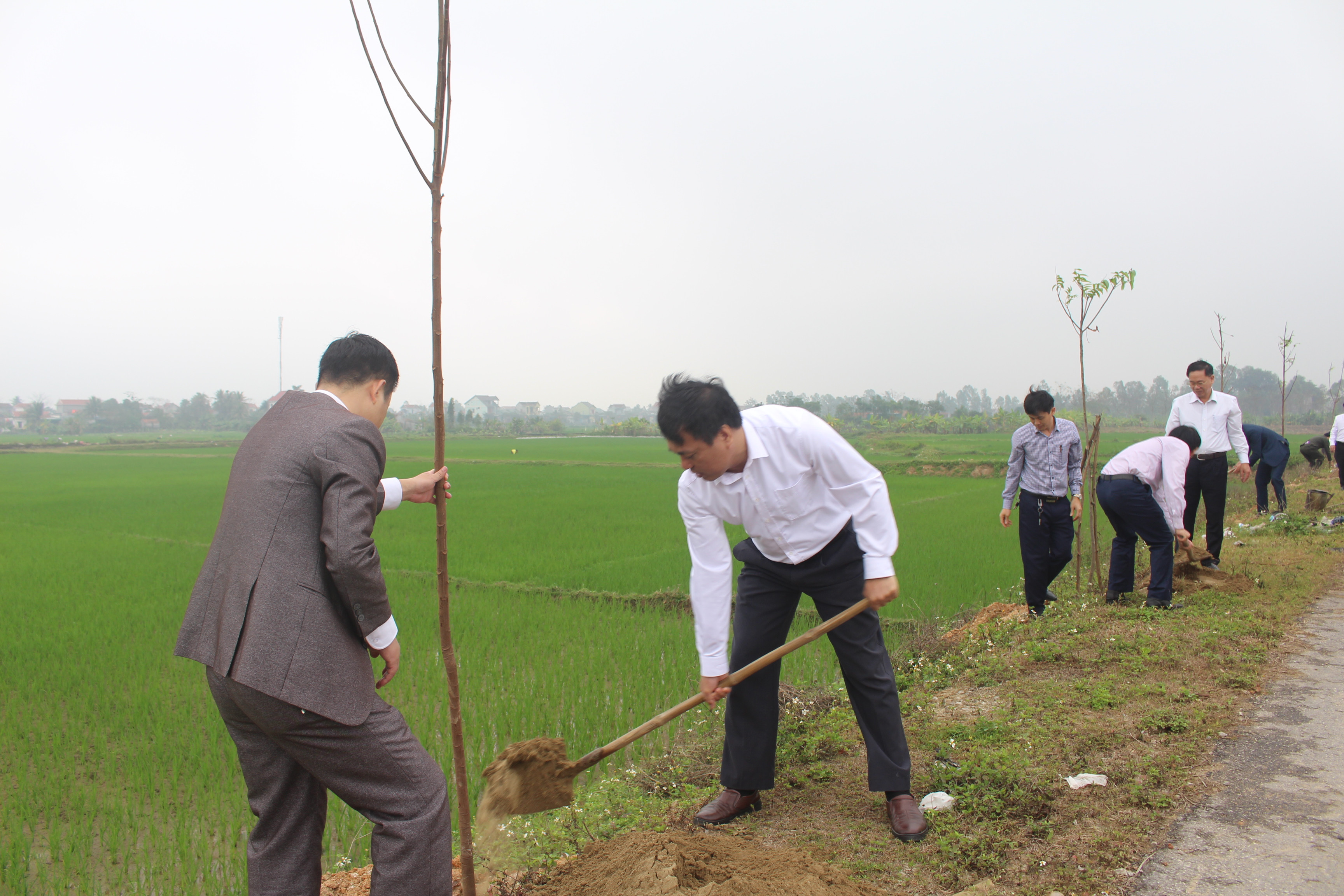 Quỳnh Lưu phấn đấu trồng 25.000 cây xanh trong năm 2019. Ảnh: Lê Nhung.