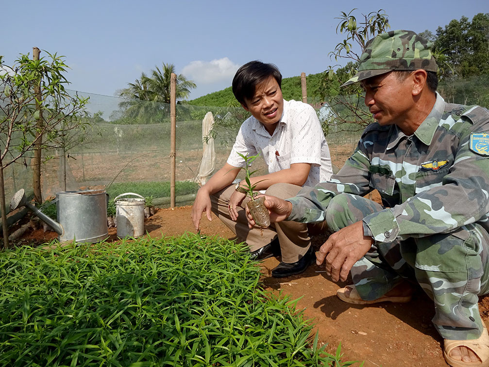 Để giữ thương hiệu đào phai Kim Thành, gia đình anh Nguyễn Đình Quang ở xóm Trại Mắt, xã Kim Thành đã ươm được hơn 5 ngàn cây giống cung cấp cho người dân có nhu cầu trồng đào. Ảnh: Thái Dương