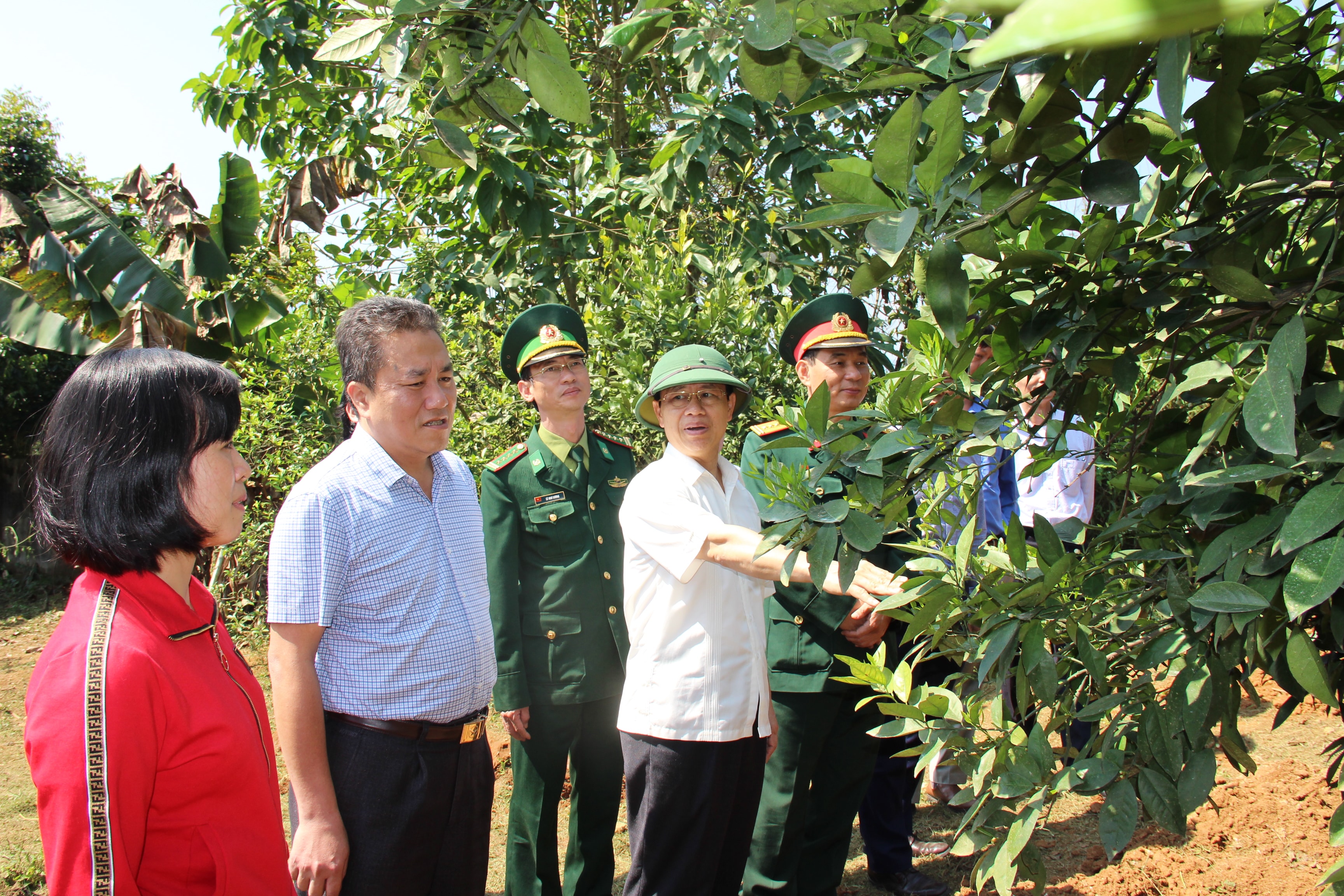 Đồng chí Nguyễn Xuân Sơn và đoàn công tác thăm mô hình phát triển kinh tế của người dân xã Quế Sơn, huyện Quế Phong.. Ảnh: Hoài Thu