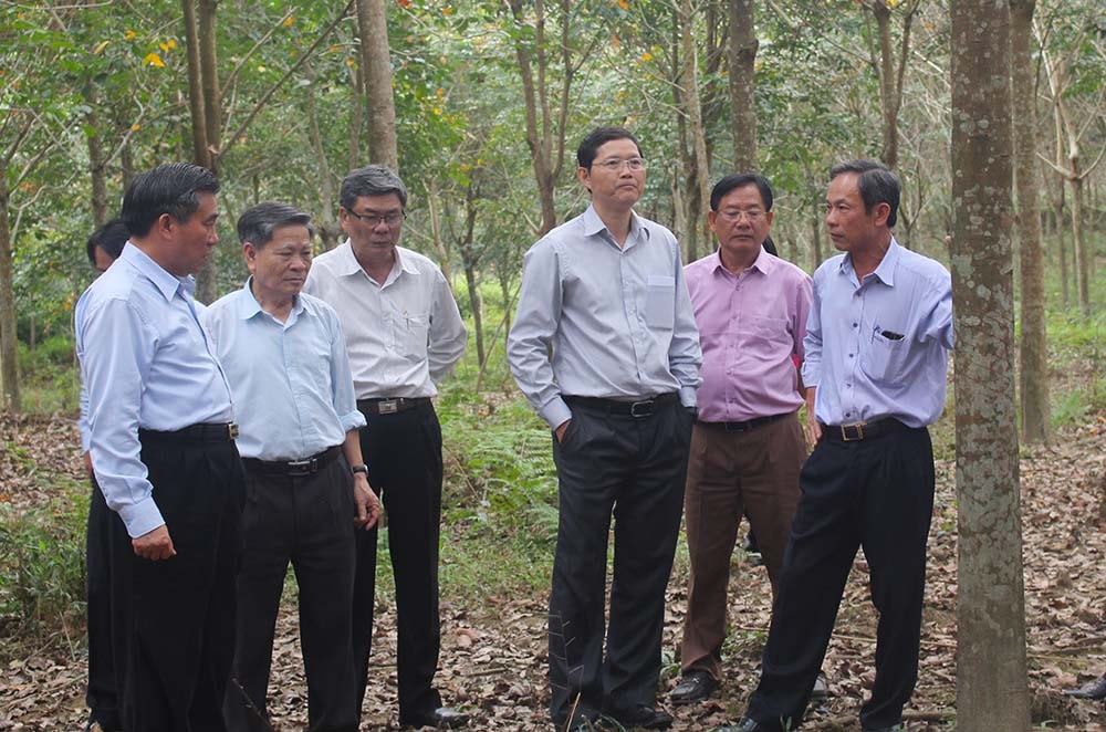 Lãnh đạo Tập đoàn Công nghiệp Cao su Việt Nam thăm vườn cây cao su của Công ty CP ĐTPT Cao su Nghệ An tại xã Thanh Đức, Thanh Chương. Ảnh: Phú Hương
