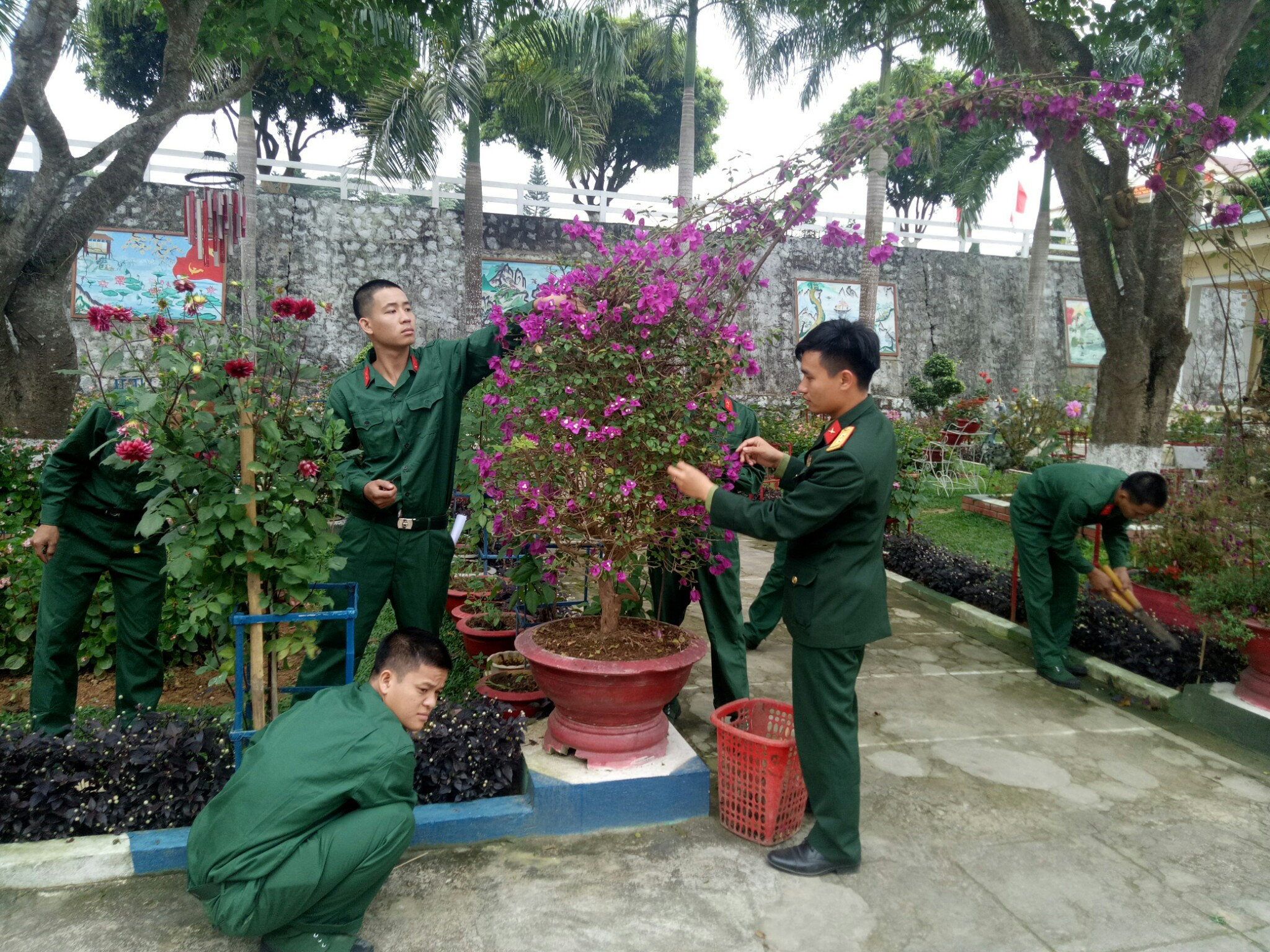 Và cùng cán bộ chăm sóc bồn hoa cây cảnh tạo cảnh quan xanh - sạch - đẹp cho đơn vị huấn luyện. Ảnh: Tường Hiếu