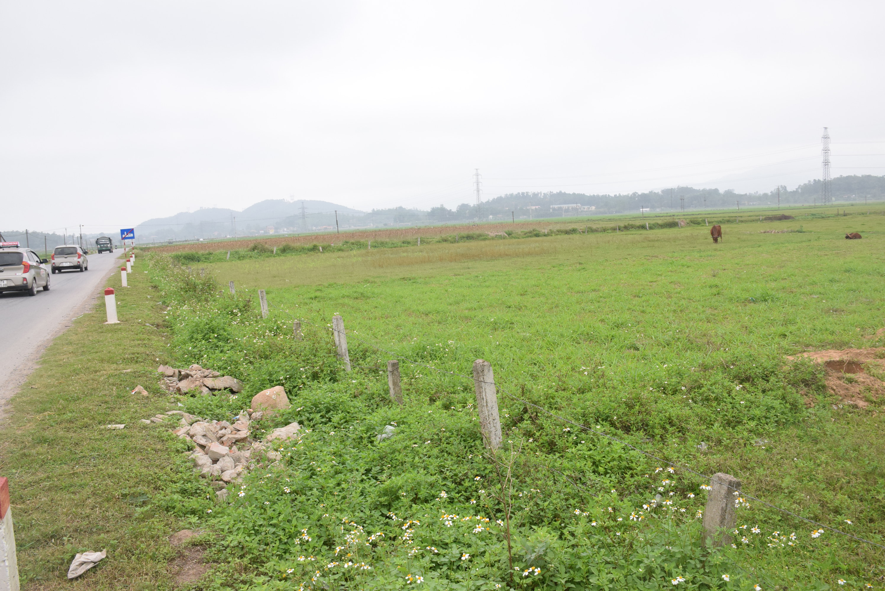 Vùng đất thuộc xóm Bắc Thung, xã Vân Diên (Nam Đàn) đã được chính quyền địa phương quy hoạch đền bù giải phóng mặt bằng với diện tivhs 8, 27 ha để thực hiện Dự án... Ảnh: Xuân Hoàng