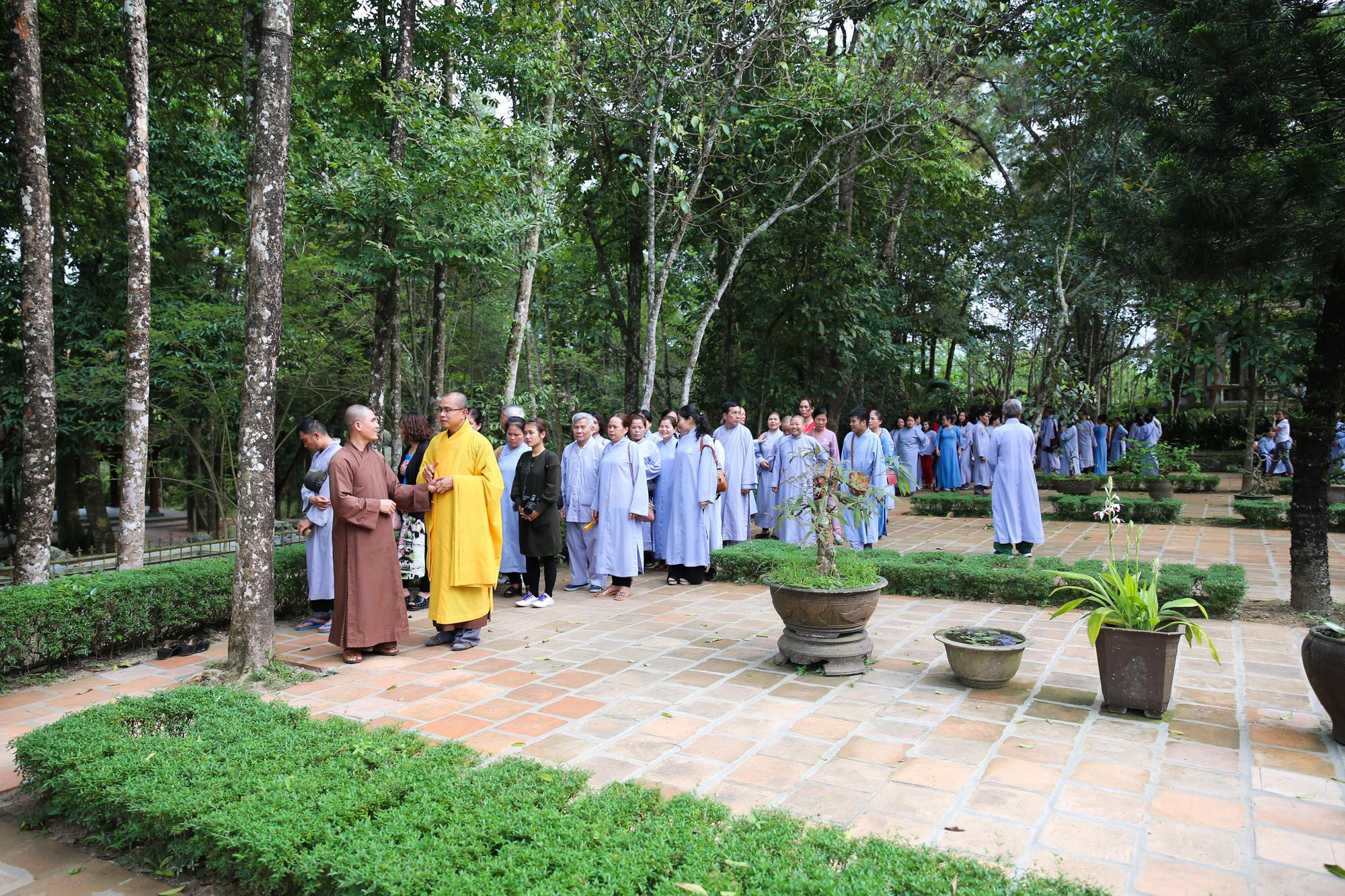 Thiền sư Thích Nhất Hạnh ngày 28/10 trở về chùa Từ Hiếu ở Huế để tĩnh dưỡng trong sự chào đón của chư tăng và phật tử. Ông quyết định ở lại đây cho đến ngày viên tịch.