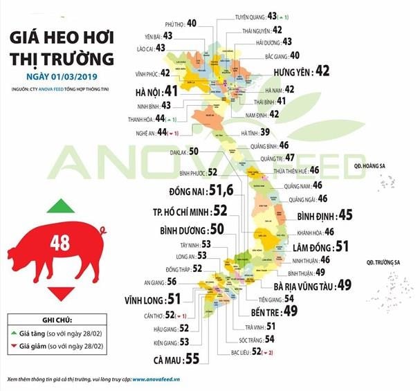 Giá lợn hơi ngày 1/3/2019.