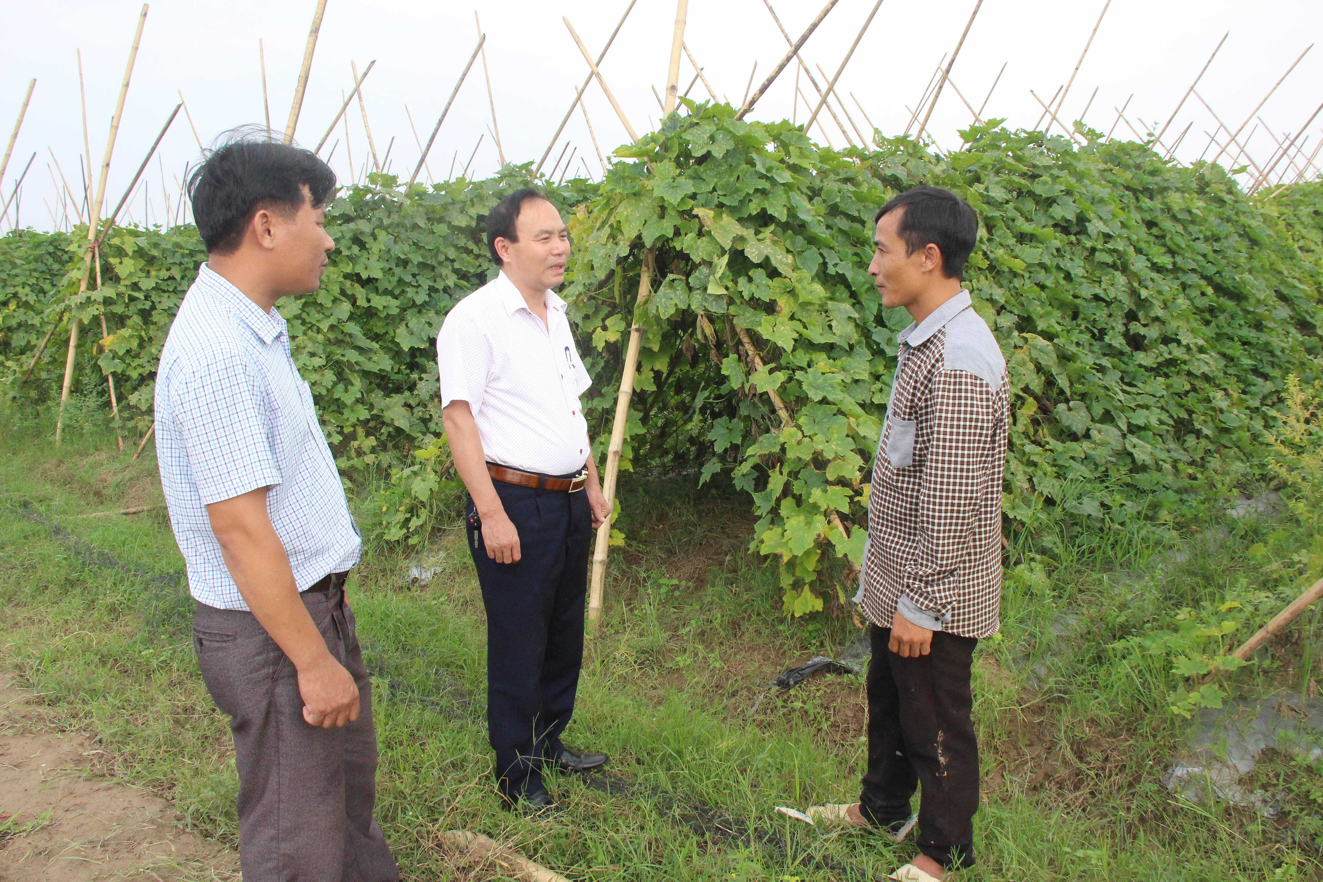 Lãnh đạo Ban Tuyên giáo Huyện ủy Nam Đàn tìm hiểu chính sách hỗ trợ phát triển nông nghiệp từ phía người dân. Ảnh tư liệu