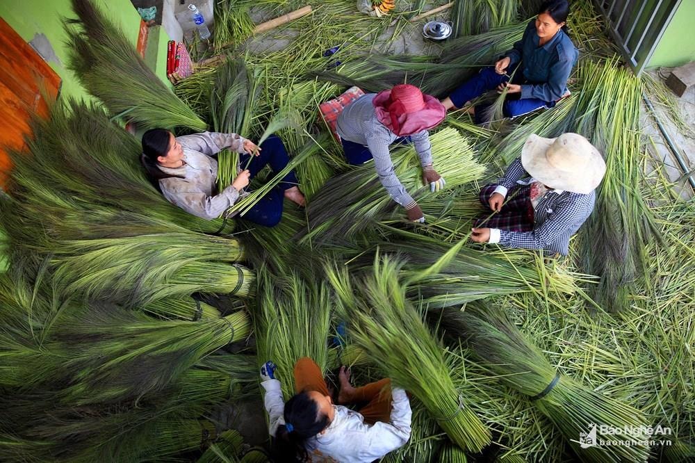 Hôm nay, Trung bộ được dự báo ngày nắng trước khi đón không khí lạnh. Trong ảnh: Những người phụ nữ xã Chiêu Lưu, huyện Kỳ Sơn đang bóc đót để mang đi phơi. Ảnh tư liệu: Hồ Phương 