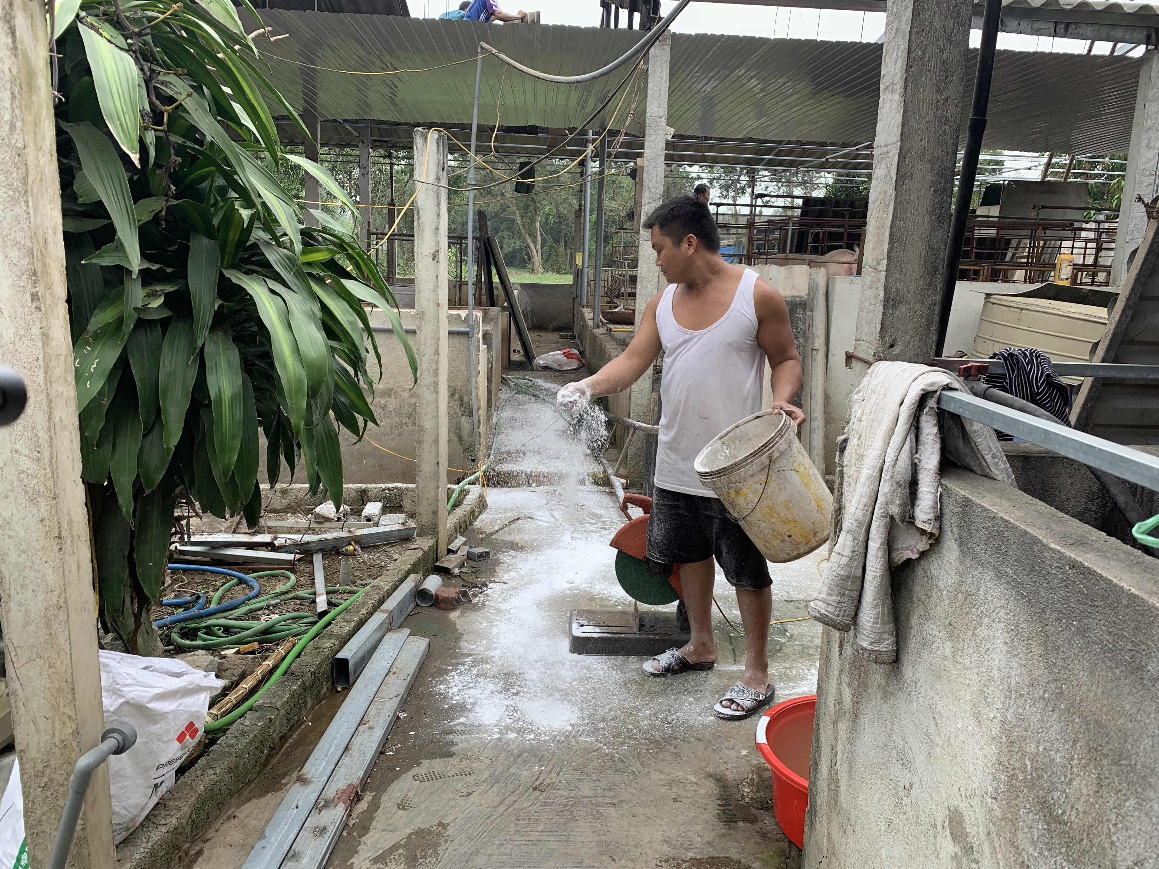 TP Vinh Ứng phó khẩn cấp với bệnh dịch tả lợn Châu Phi  