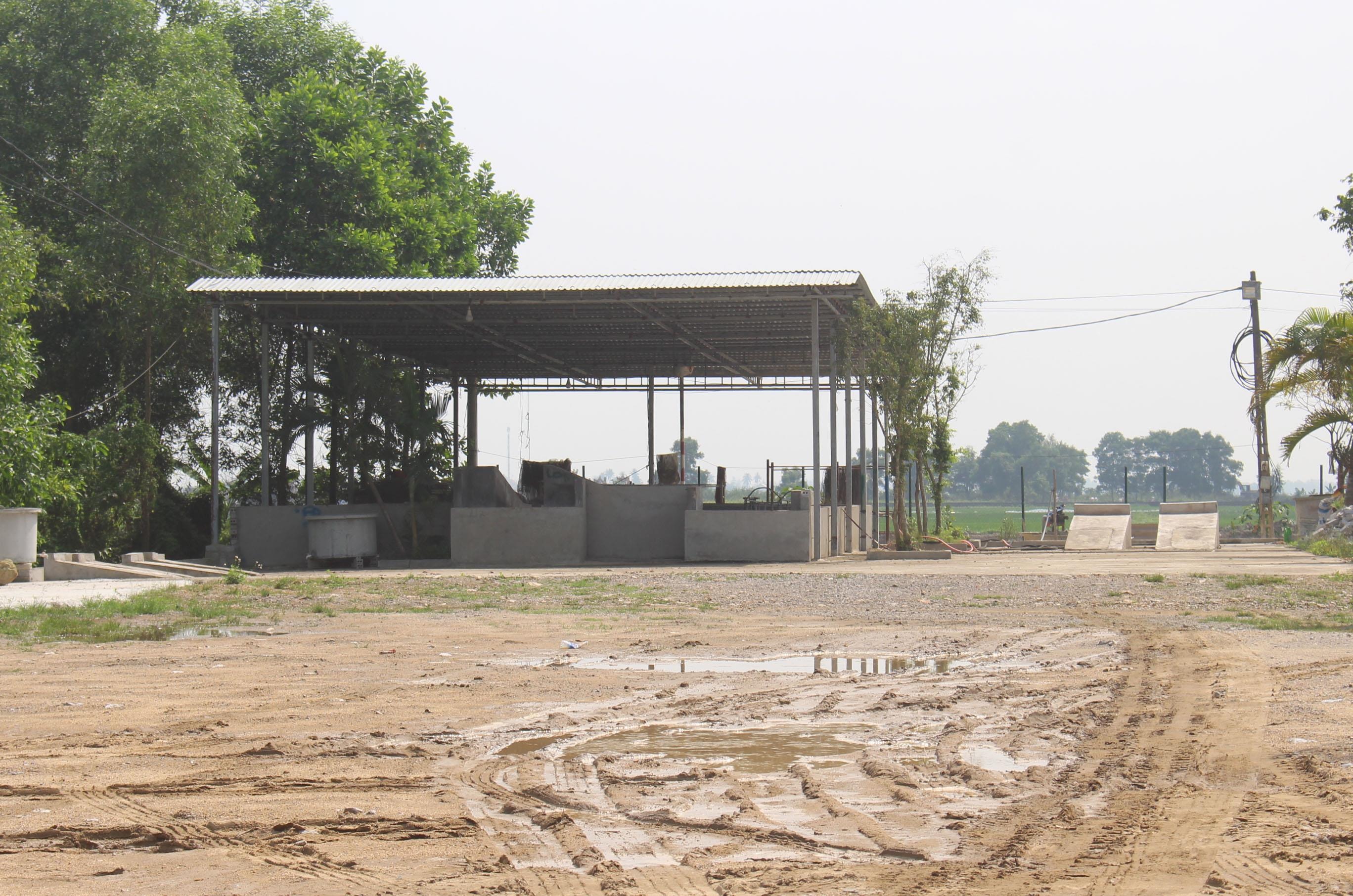 Nguy cơ lây lan dịch tả lợn châu Phi từ các bãi tắm heo