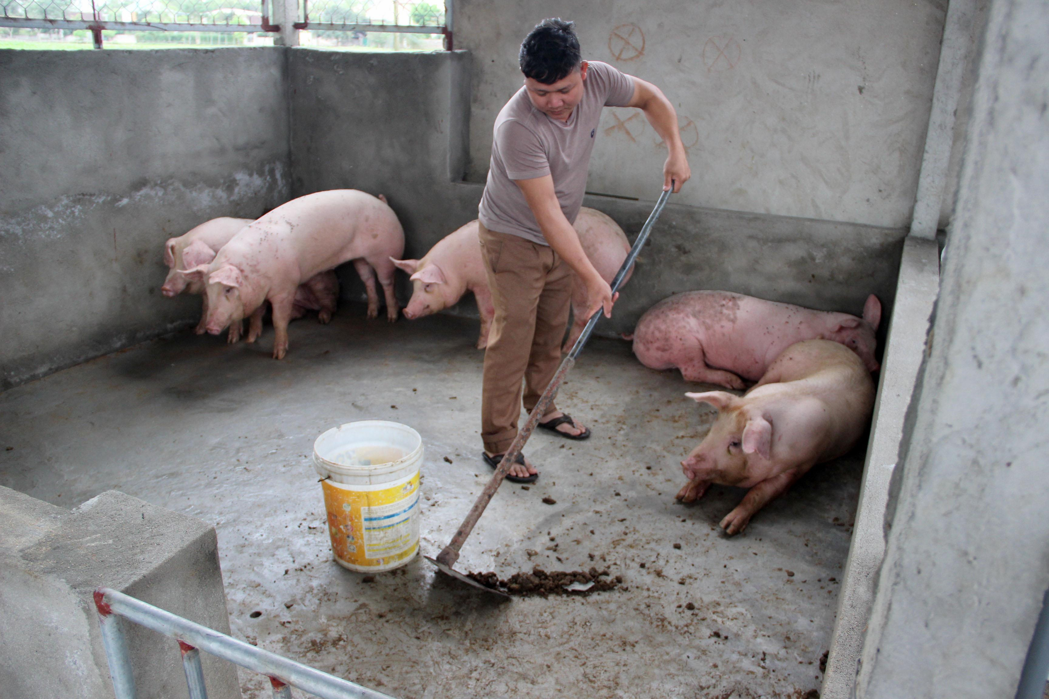 Tuy nhiên, sau mỗi ca mổ lợn, các chủ lò mổ không phun hóa chất khử trùng, mà chỉ phun theo định kỳ 1 lần/tuần. Ảnh: PV