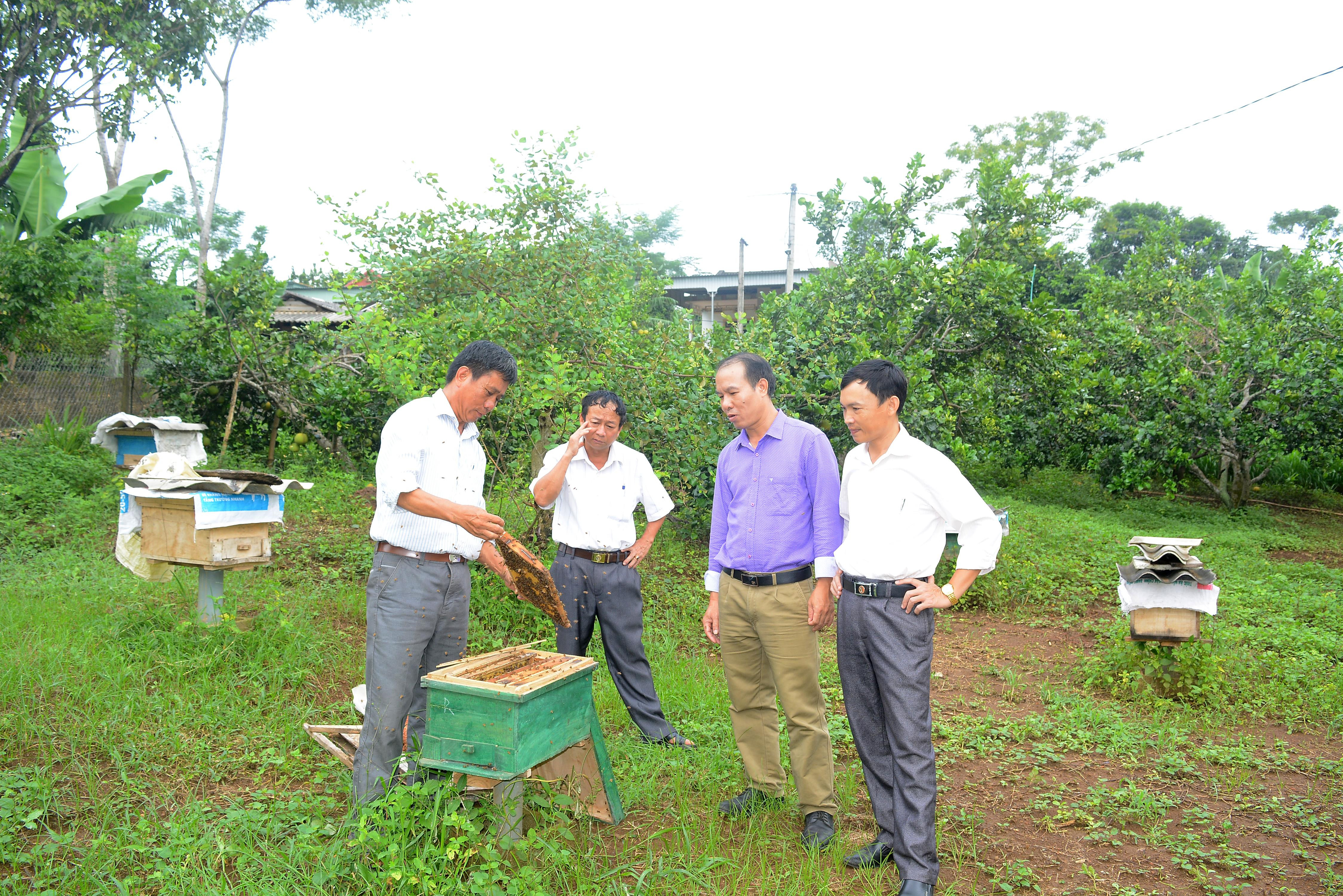 Nhờ dân vận khéo, Chi hội nông dân xóm Phú Tân, xã Tây Hiếu (TX. Thái Hòa) đã tập hợp được đông đảo hội viên, thành lập hợp tác xã nuôi ong. Ảnh tư liệu