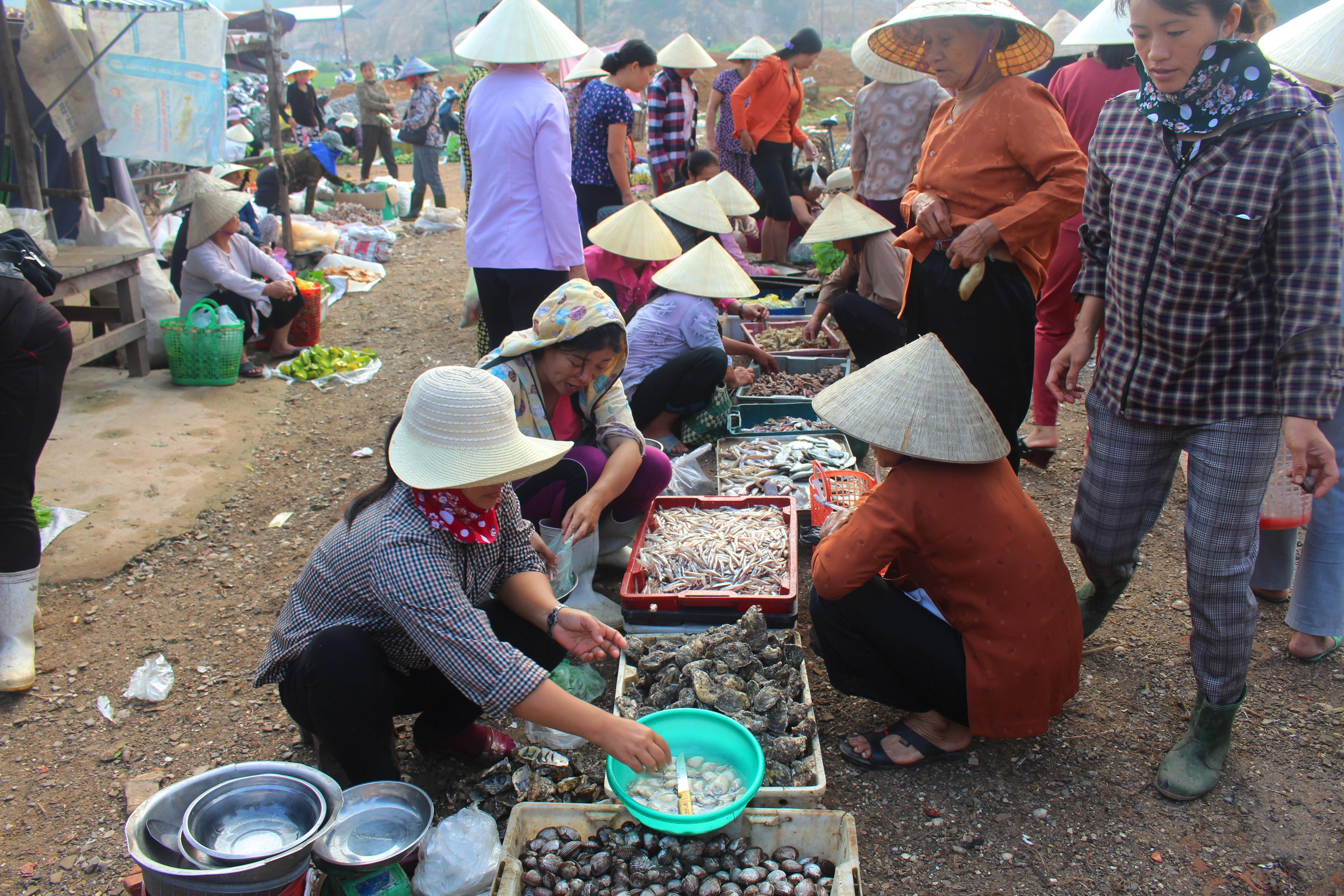 Chợ đầu mối thủy hải sản Quỳnh Lưu