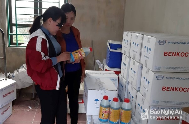 Quỳnh Lưu chủ động mua hóa chất khử trùng để phòng dịch châu Phi. Ảnh: Lê Nhung