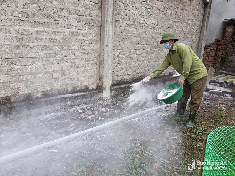 các hộ chăn nuôi lợn ở Nghi Lộc tập trung khử trùng khu vực chuồng trại. Ảnh: Thu Hiền