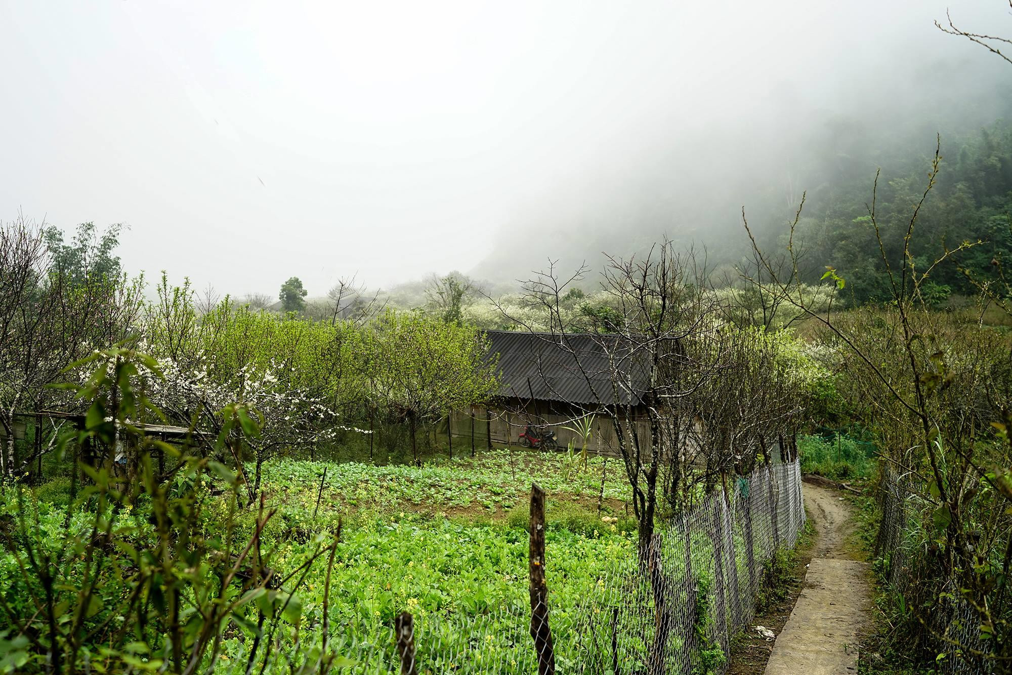 Này cũng là xuân, nhưng xuân rẻo cao có nét thi vị riêng. 