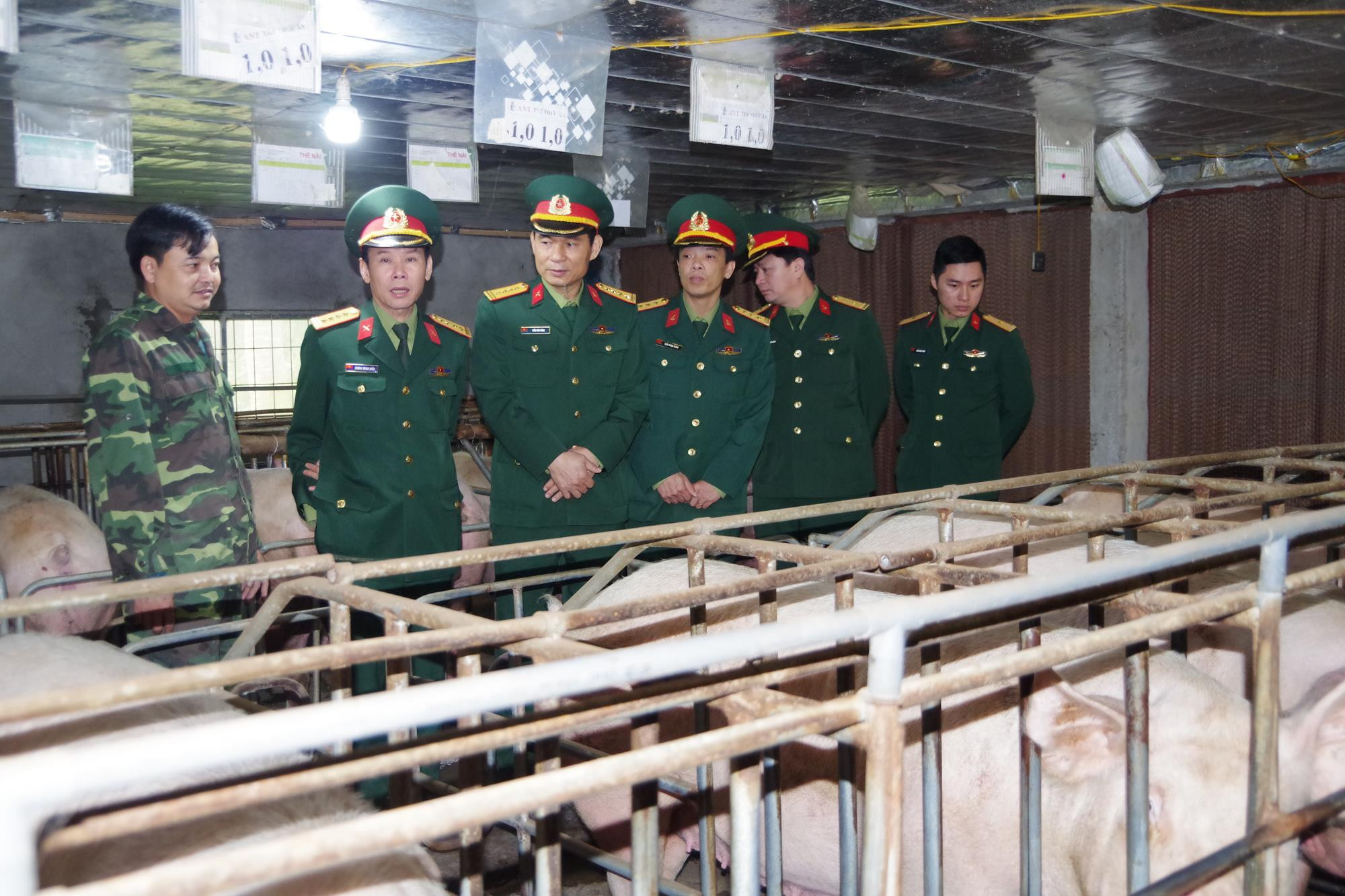 Đoàn công tác kiểm tra khu chăn nuôi tập trung của Bộ CHQS tỉnh tại huyện Tân Kỳ. Ảnh: Trọng Kiên