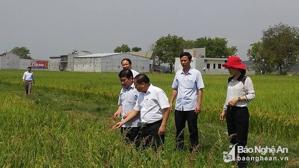 Lãnh đạo Ban Dân vận Tỉnh ủy kiểm tra công tác dân vận ở Yên Thành. Ảnh tư liệu