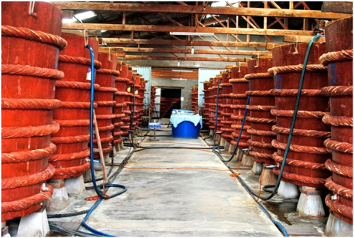 Một cơ sở sản xuất nước mắm truyền thống tại Phú Quốc.