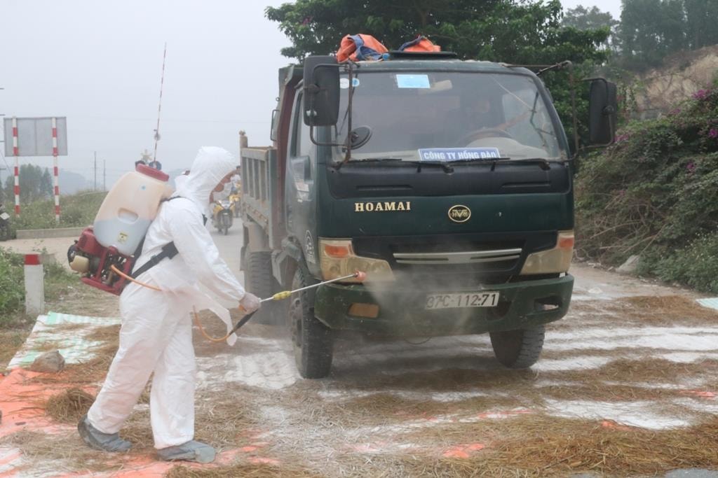 Quỳnh Lưu kiểm soát dịch tả lợn
