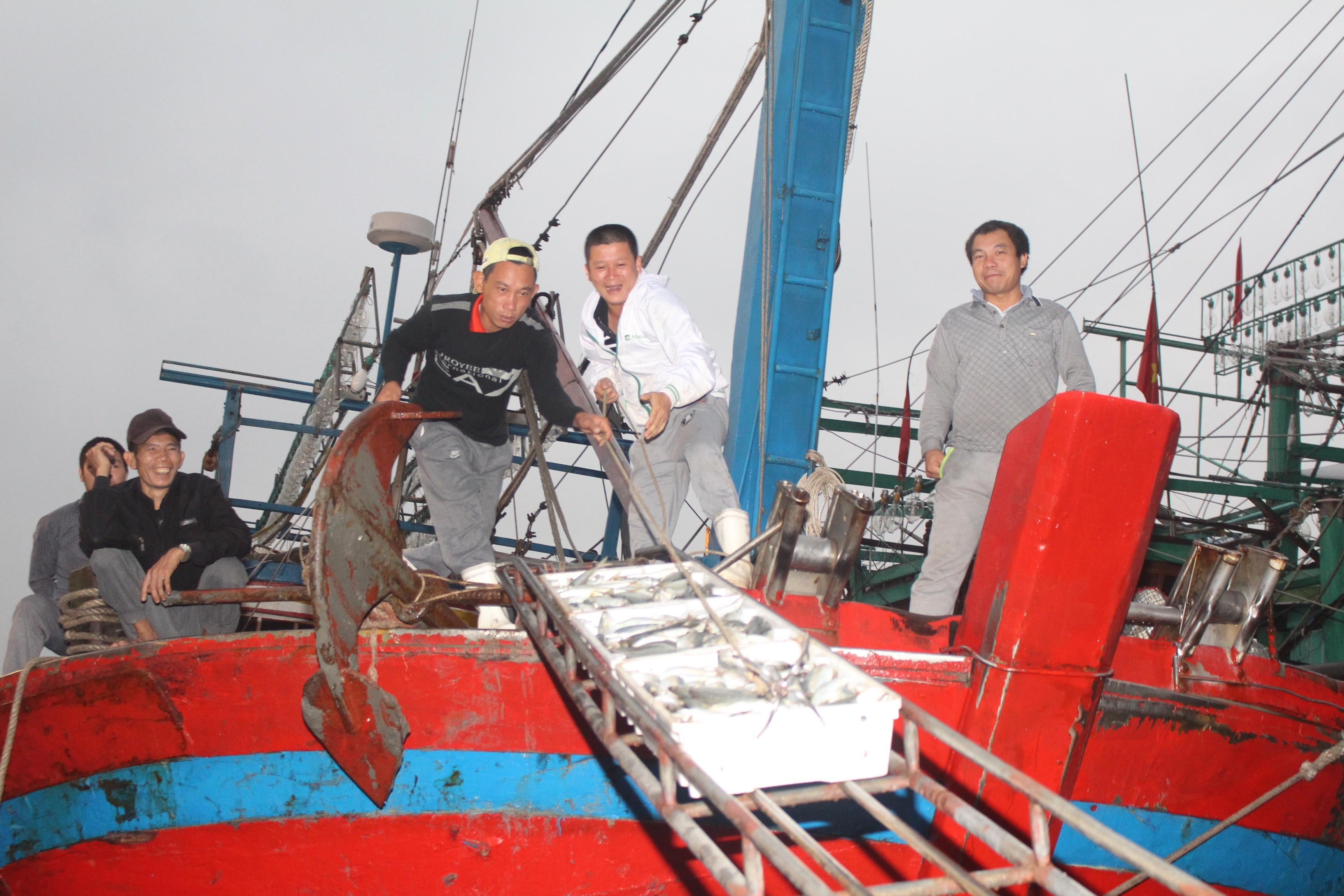 Ngư dân Nghệ An được mùa cá đốm