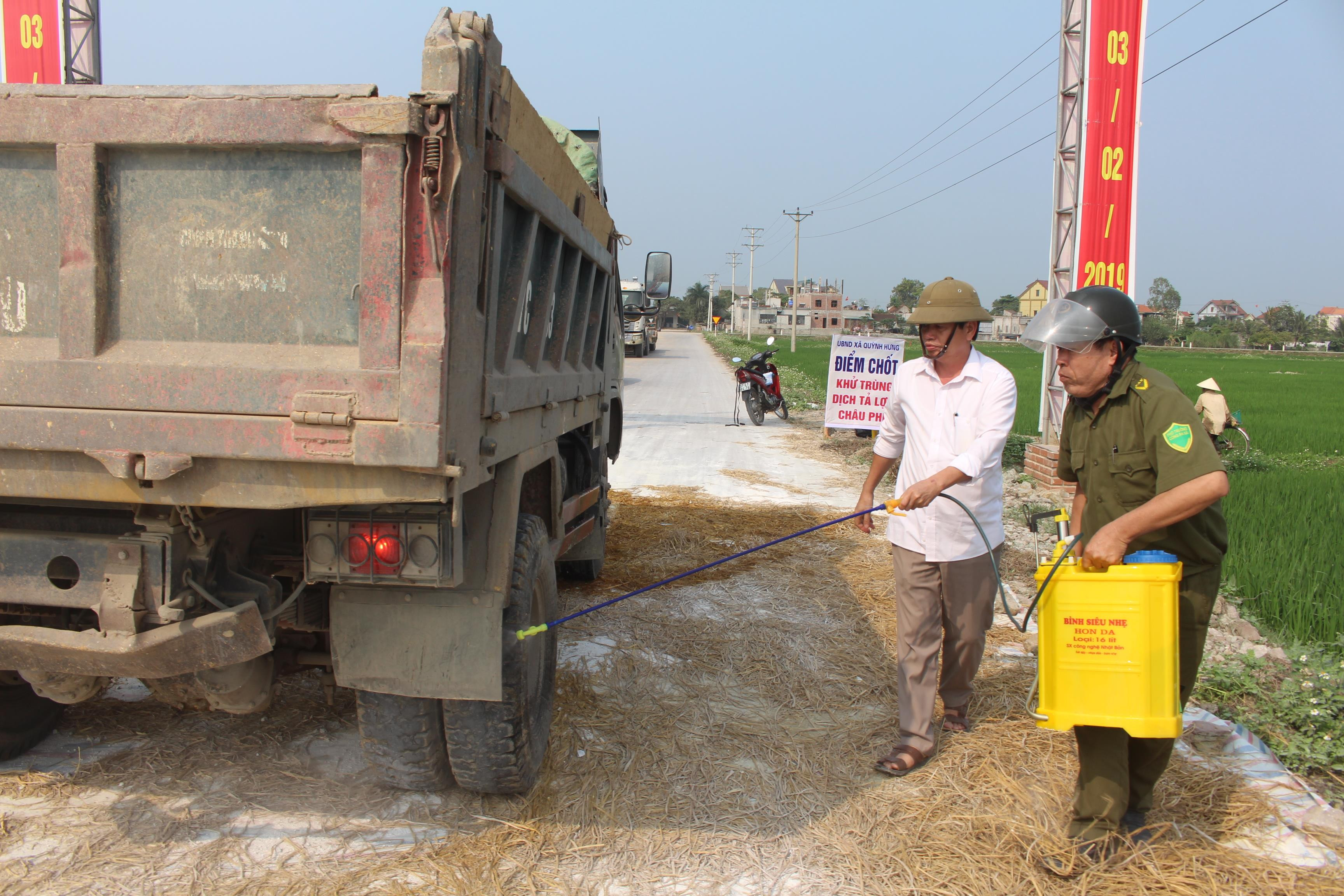 Phát hiện thêm ổ dịch tả lợn châu Phi ở Quỳnh Hưng