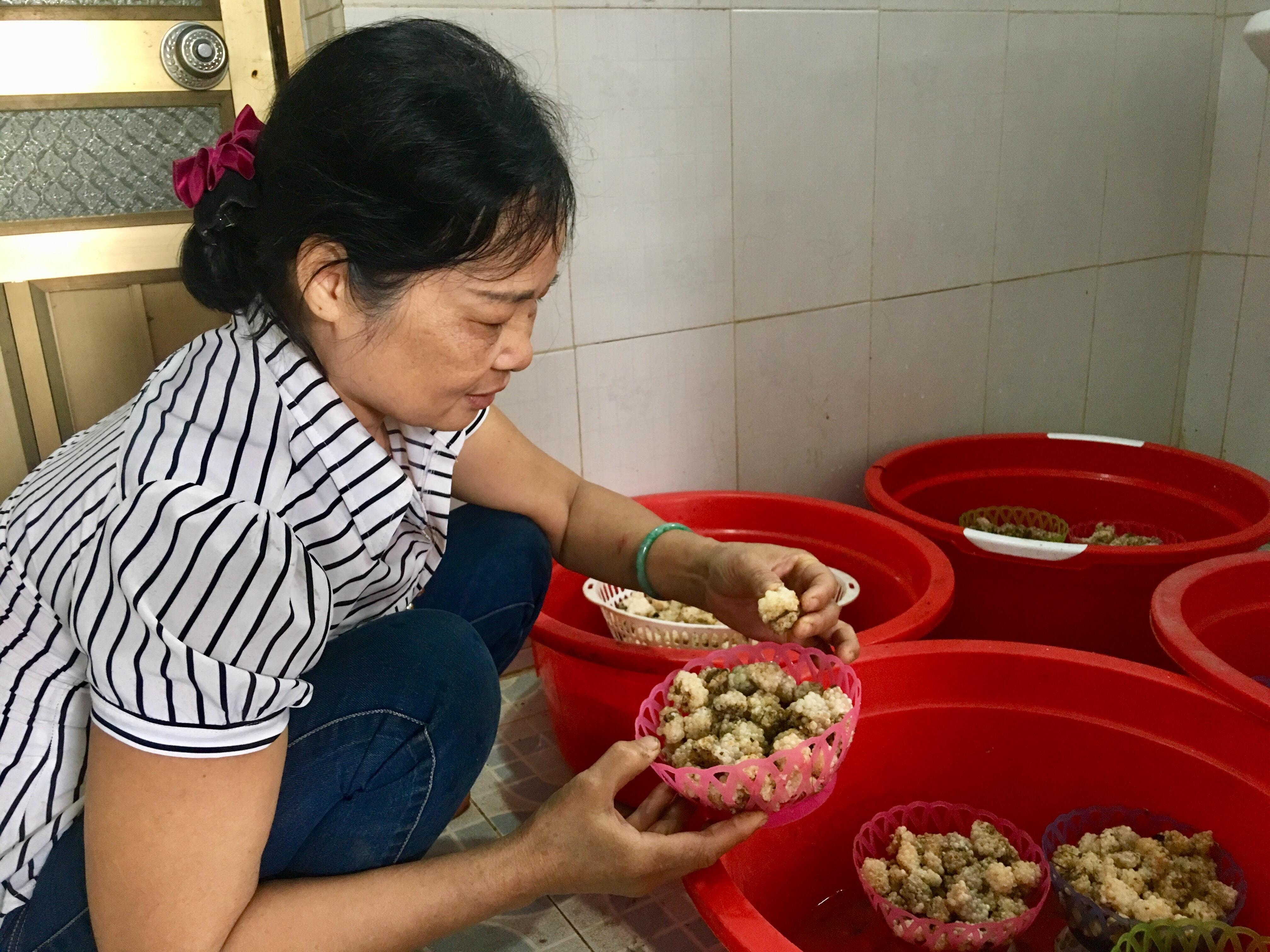 Nuôi ốc bươu đen cho thu nhập cao