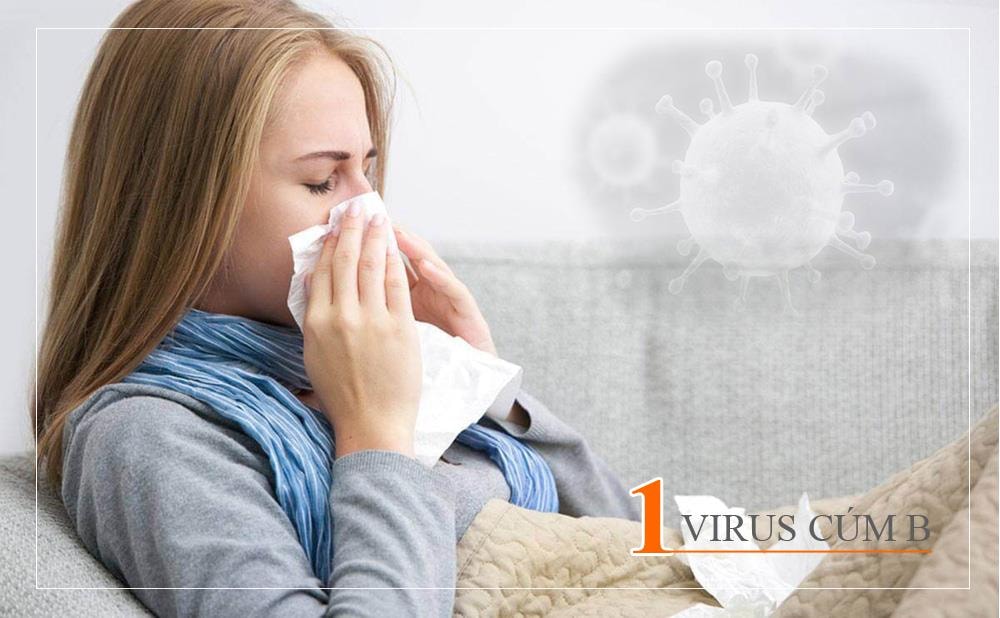 Loại virus này ít biến đổi về cấu trúc kháng nguyên, và chỉ có thể gây nên các bệnh cúm thông thường, diễn biến đơn giản và có thể kết hợp với những loại virus cúm khác gây bệnh về đường hô hấp. 