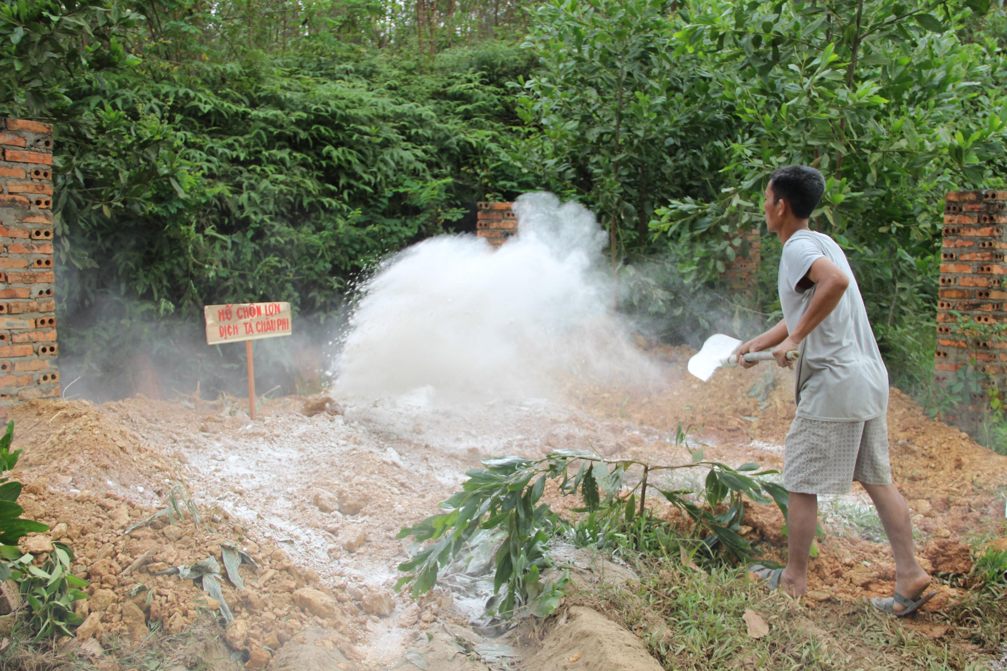 Ông Nguyễn Quang Ngân tiến hành rắc vôi bột tại hố tiêu hủy lợn bị dịch tả lợn châu Phi. Ảnh: Quang An