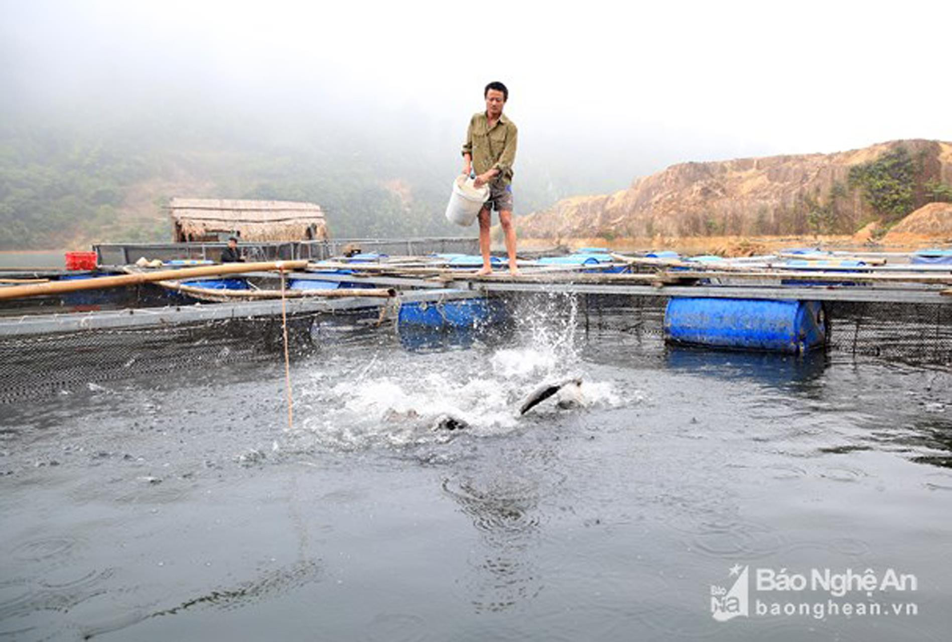 Người dân xã Đồng Văn (Quế Phong) nuôi cá lồng ở lòng hồ Thủy điện Hủa Na. Ảnh: C.T.V