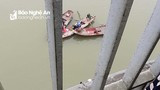 Cảnh sát Nghệ An nỗ lực tìm kiếm người phụ nữ nhảy cầu Bến Thủy tự tử