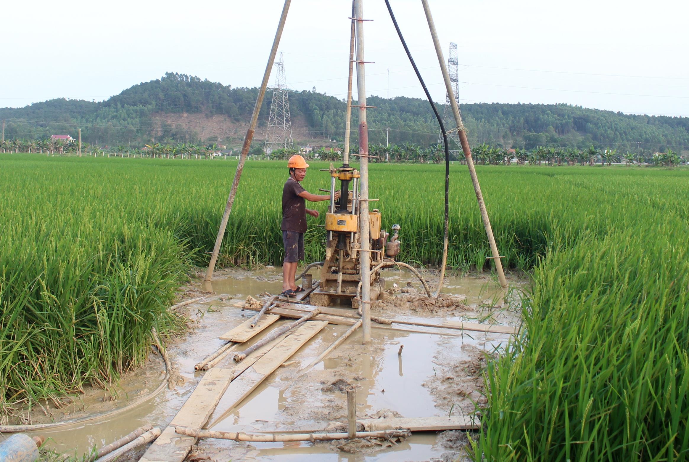 Quỳnh Lưu Gần 100 hộ dân sẽ di dời để làm đường cao tốc