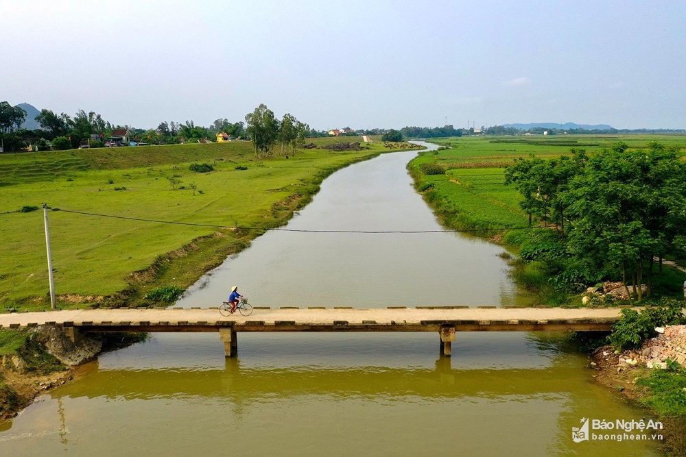 Trong ảnh: Đồng bãi xanh mướt bên dòng Lam. Ảnh tư liệu