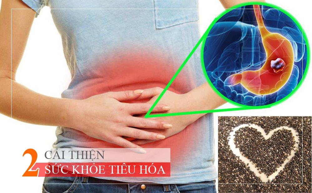 Một muỗng canh hạt lanh chứa khoảng 3gram chất xơ, chiếm 8-12% lượng tiêu thụ hàng ngày và được tạo thành từ cả hai loại chất xơ hòa tan và không hòa tan. Chất xơ hòa tan làm chậm tốc độ tiêu hóa, do đó giúp điều chỉnh lượng đường và cholesterol trong máu, trong khi chất xơ không hòa tan giúp cho việc bài tiết được dễ dàng hơn.