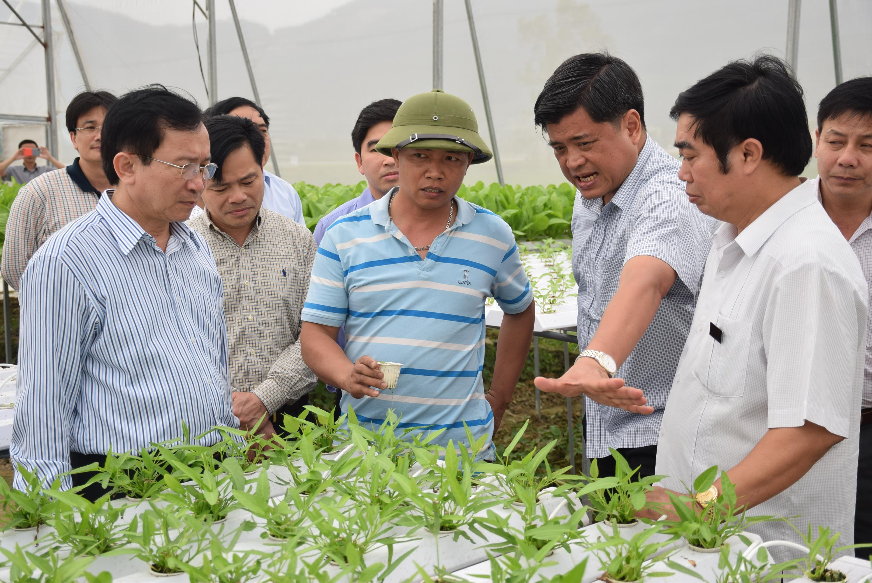 Bộ Nông nghiệp và lãnh đạo tỉnh tham quan HTX sản xuất rau sạch trên địa bàn xã Nam Anh, huyện Nam Đàn. Ảnh: Xuân Hoàng