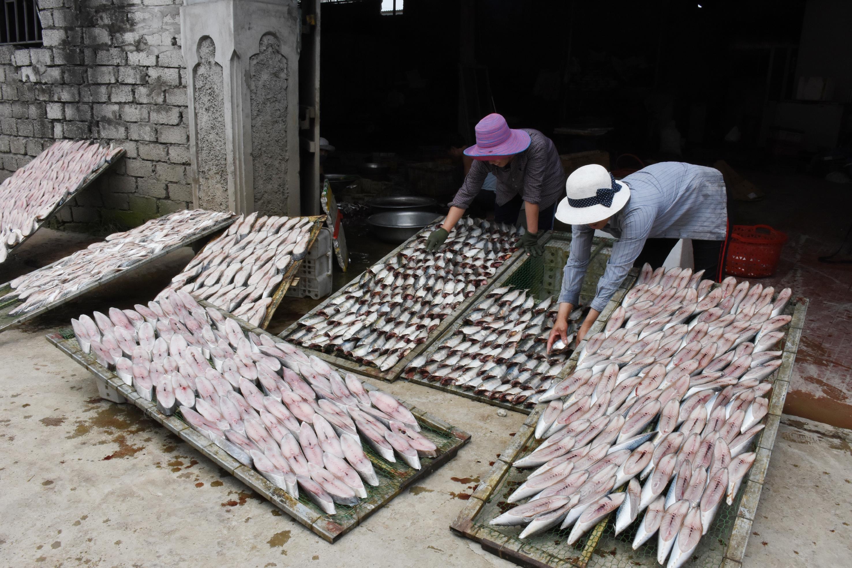 Làng nướng cá Hoàng Mai vào vụ. Ảnh: Thanh Yên